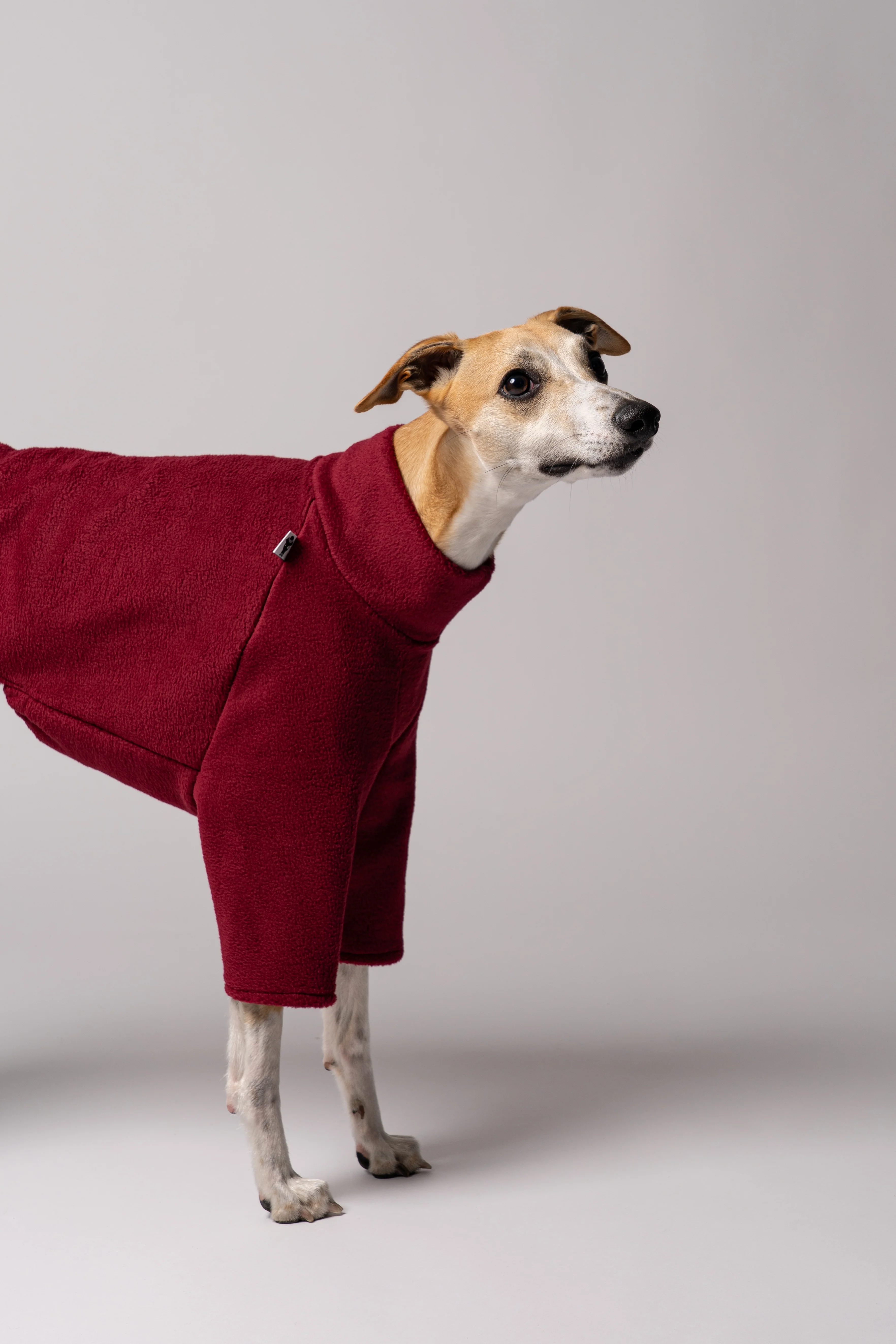 PULLOVER Windhund Bordeaux - Image 4