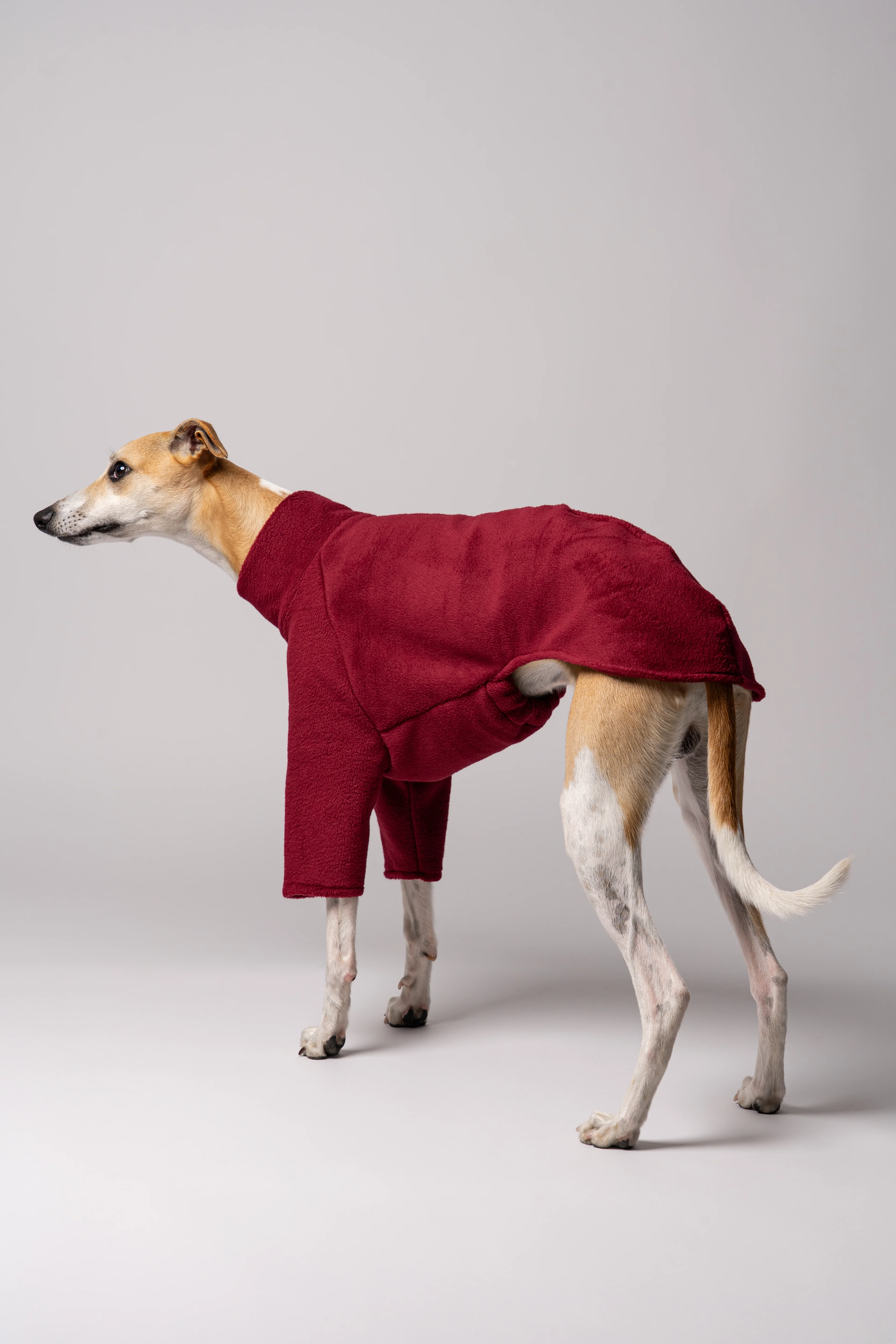 PULLOVER Windhund Bordeaux - Image 5