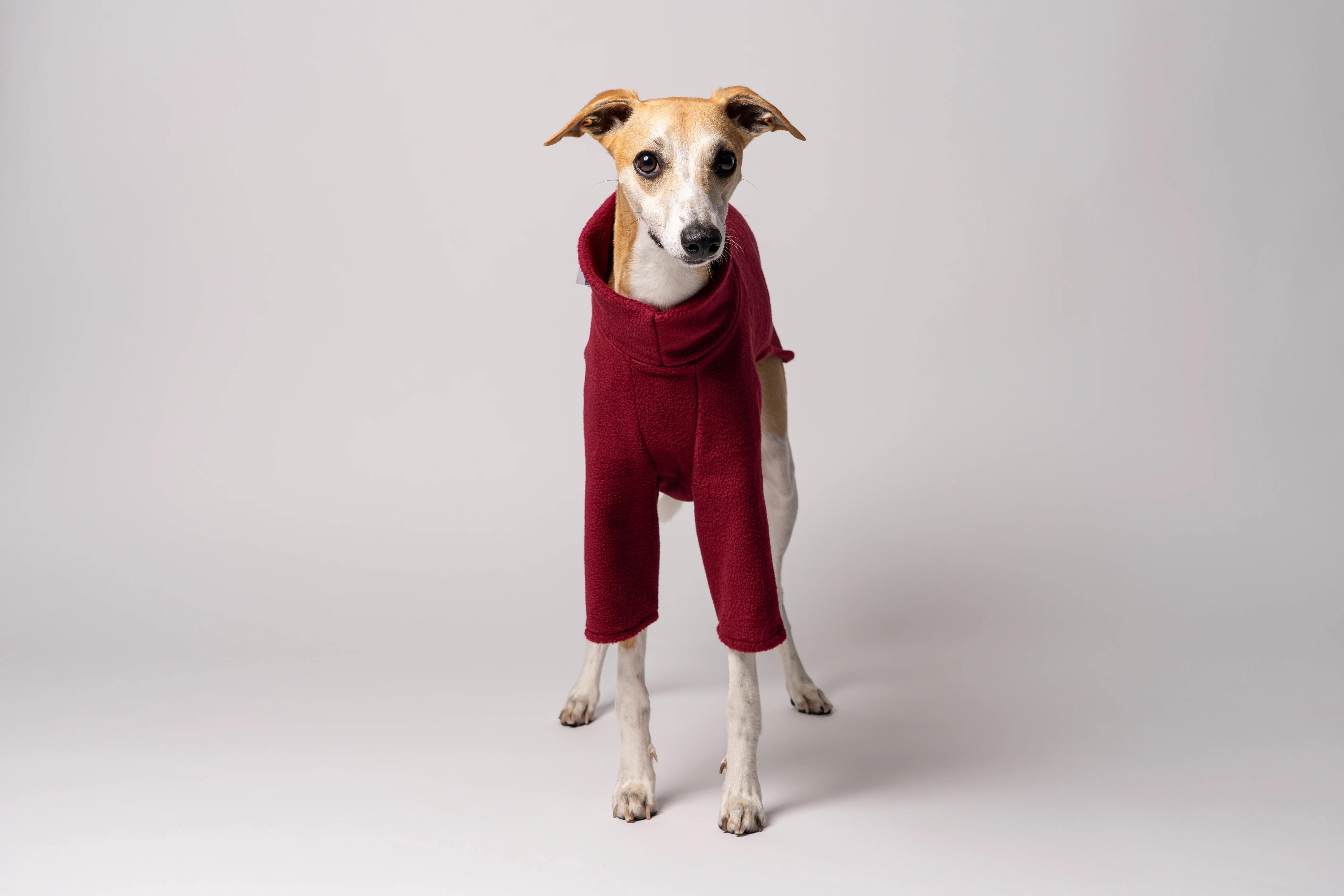 PULLOVER Windhund Bordeaux - Image 6