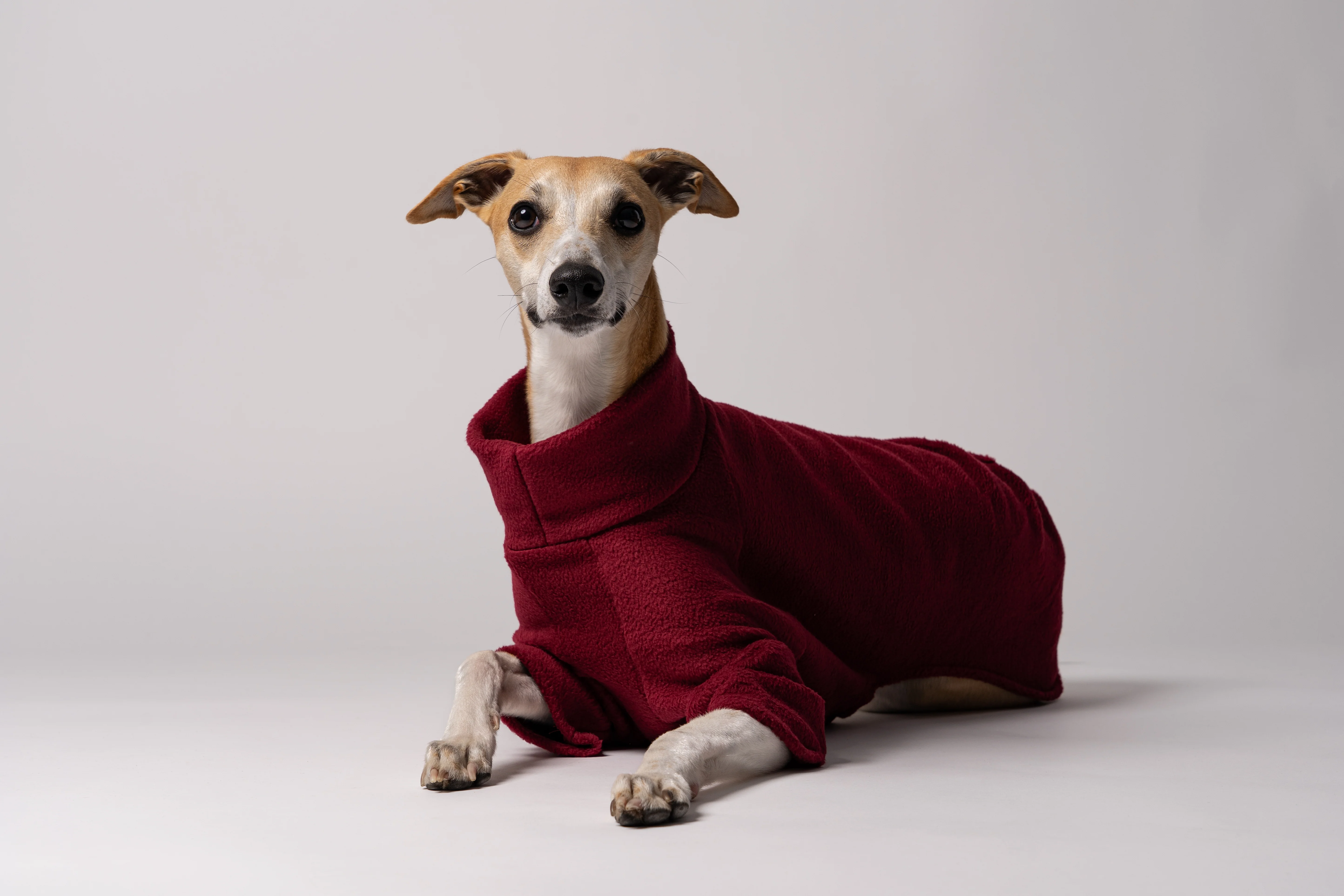 PULLOVER Windhund Bordeaux - Image 7