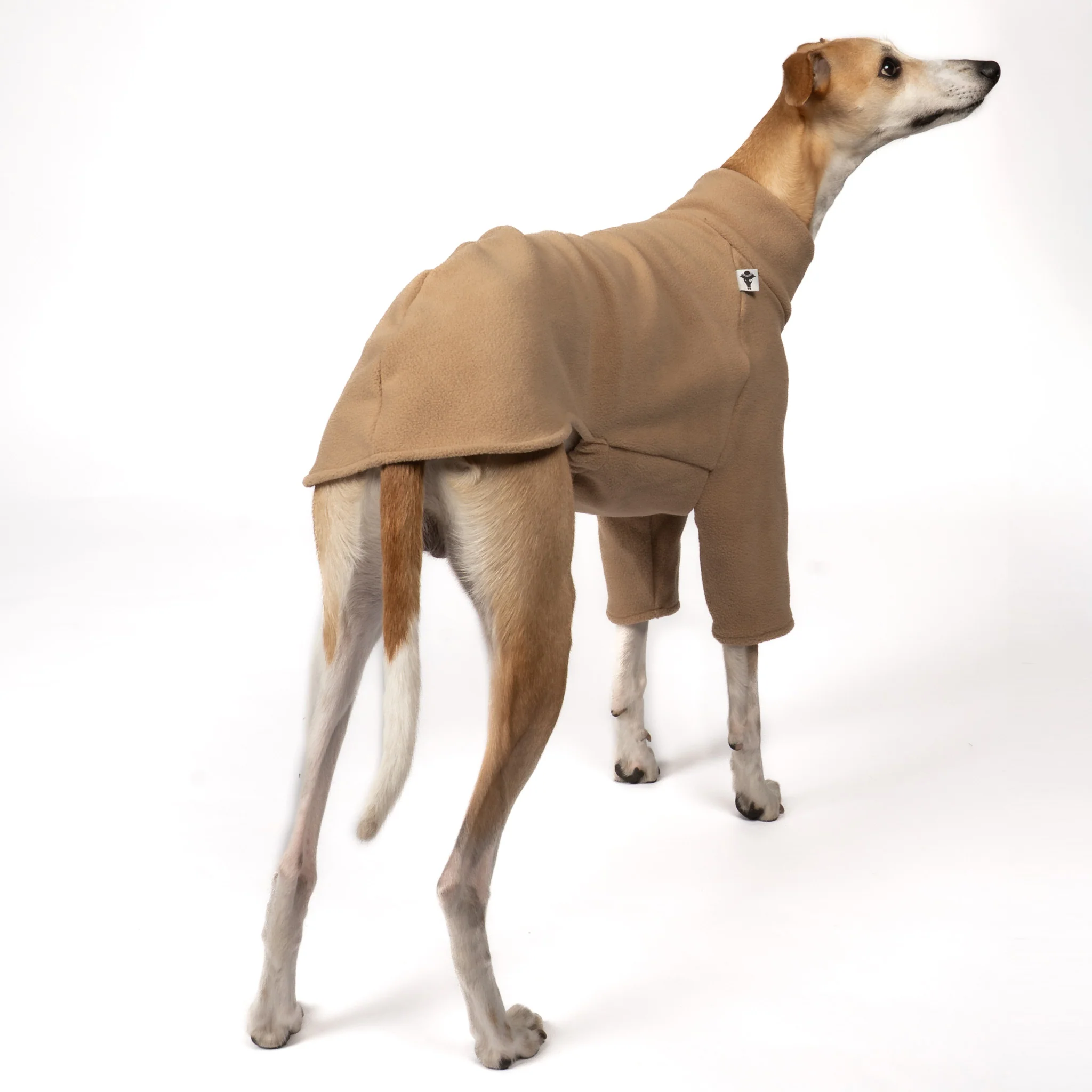 PULLOVER Windhund Camel - Image 4