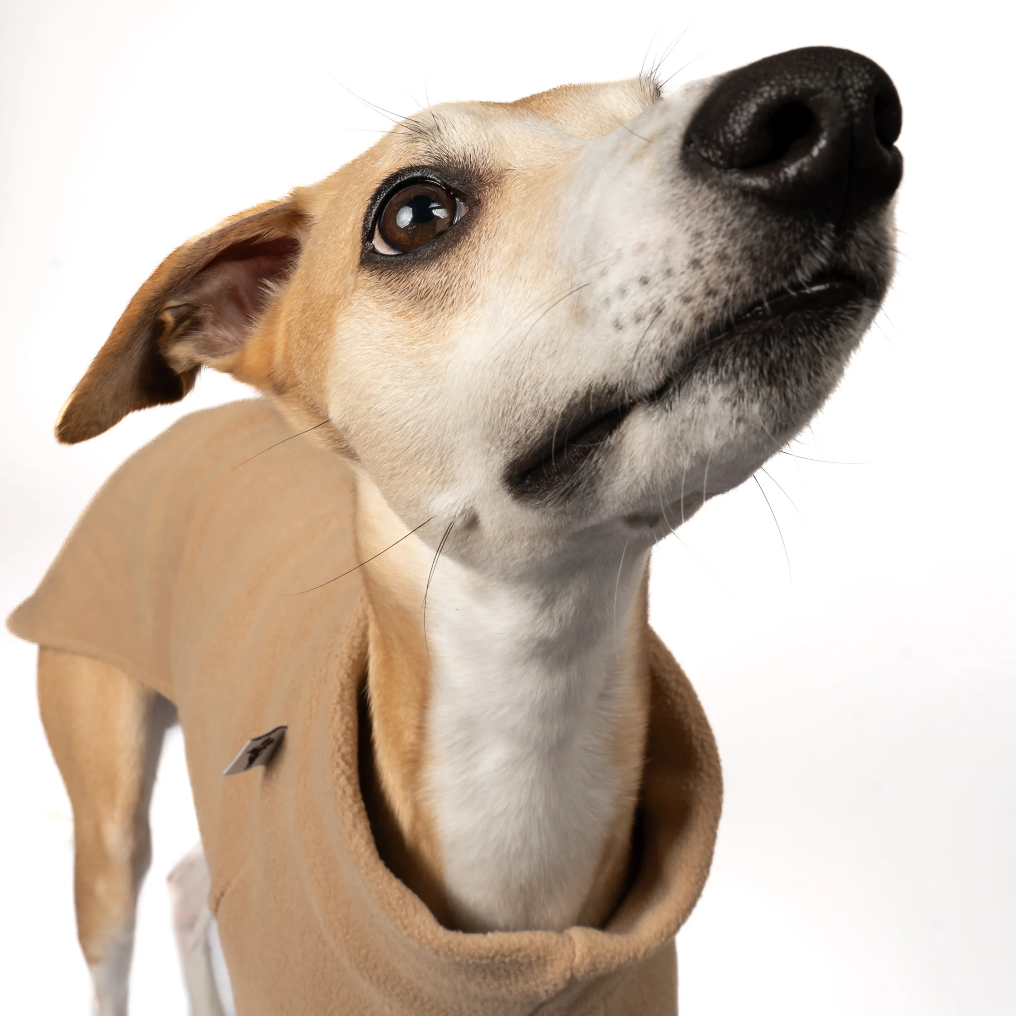 PULLOVER Windhund Camel - Image 5
