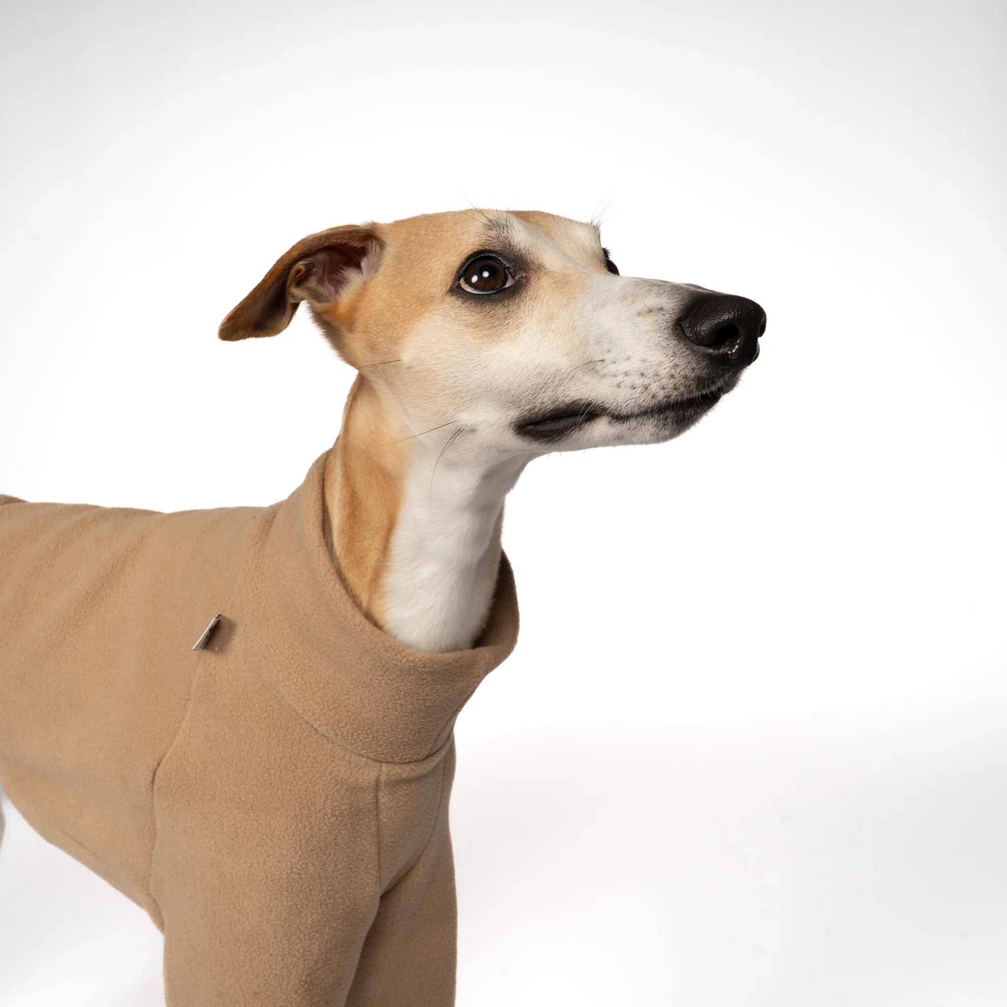 PULLOVER Windhund Camel - Image 6