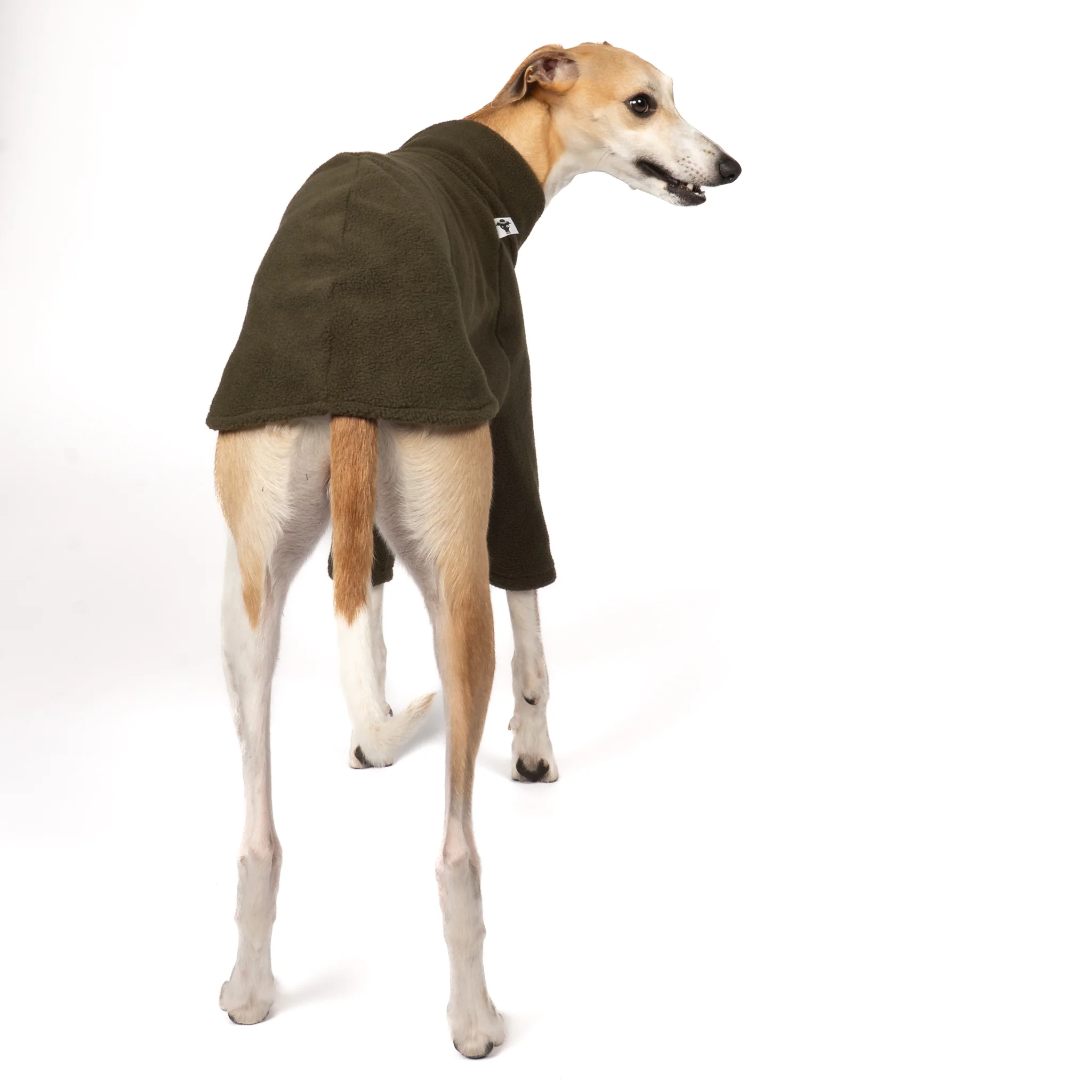 PULLOVER Windhund Dark Olive - Image 5