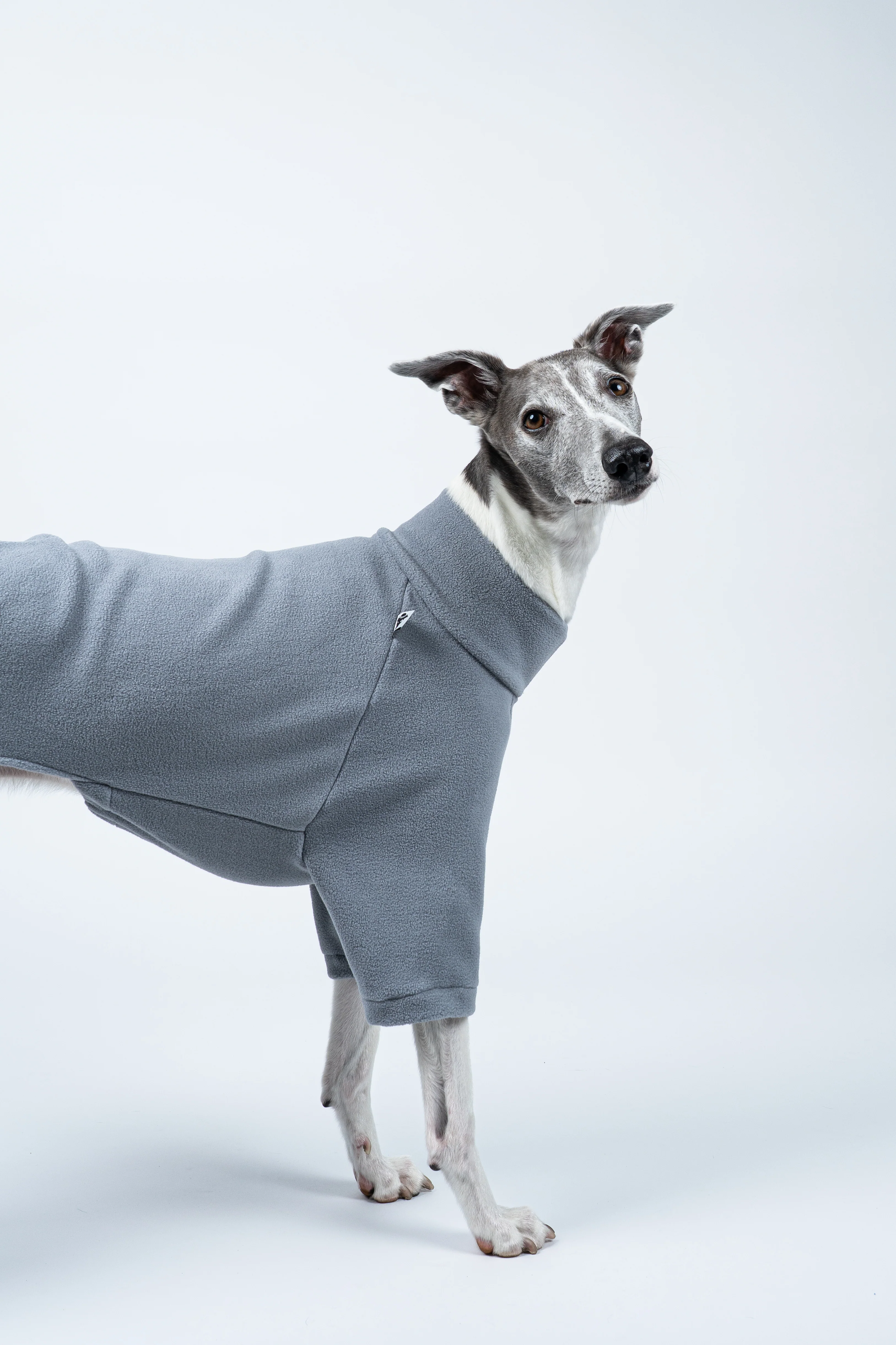 PULLOVER Windhund Light Grey - Image 5