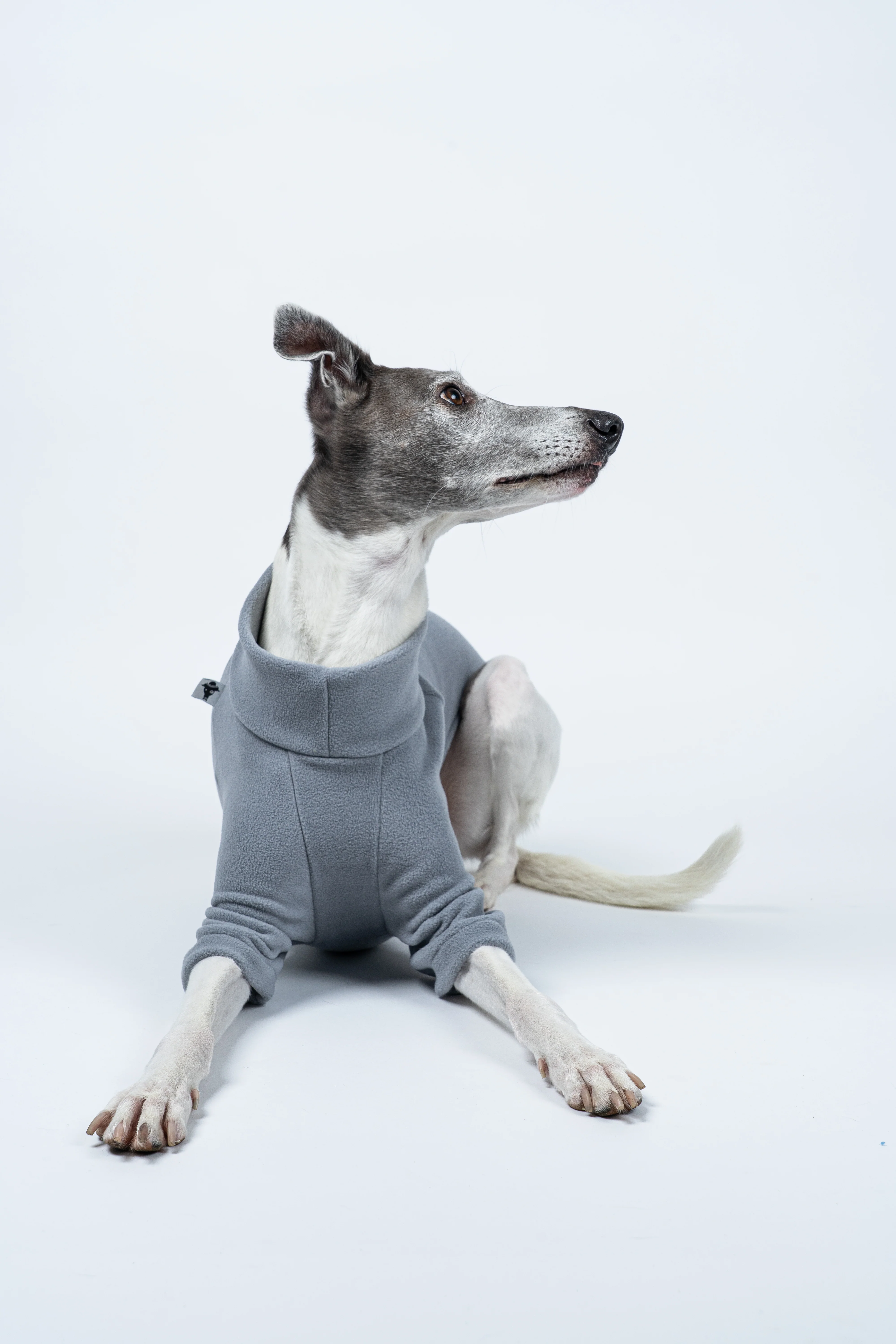 PULLOVER Windhund Light Grey - Image 6