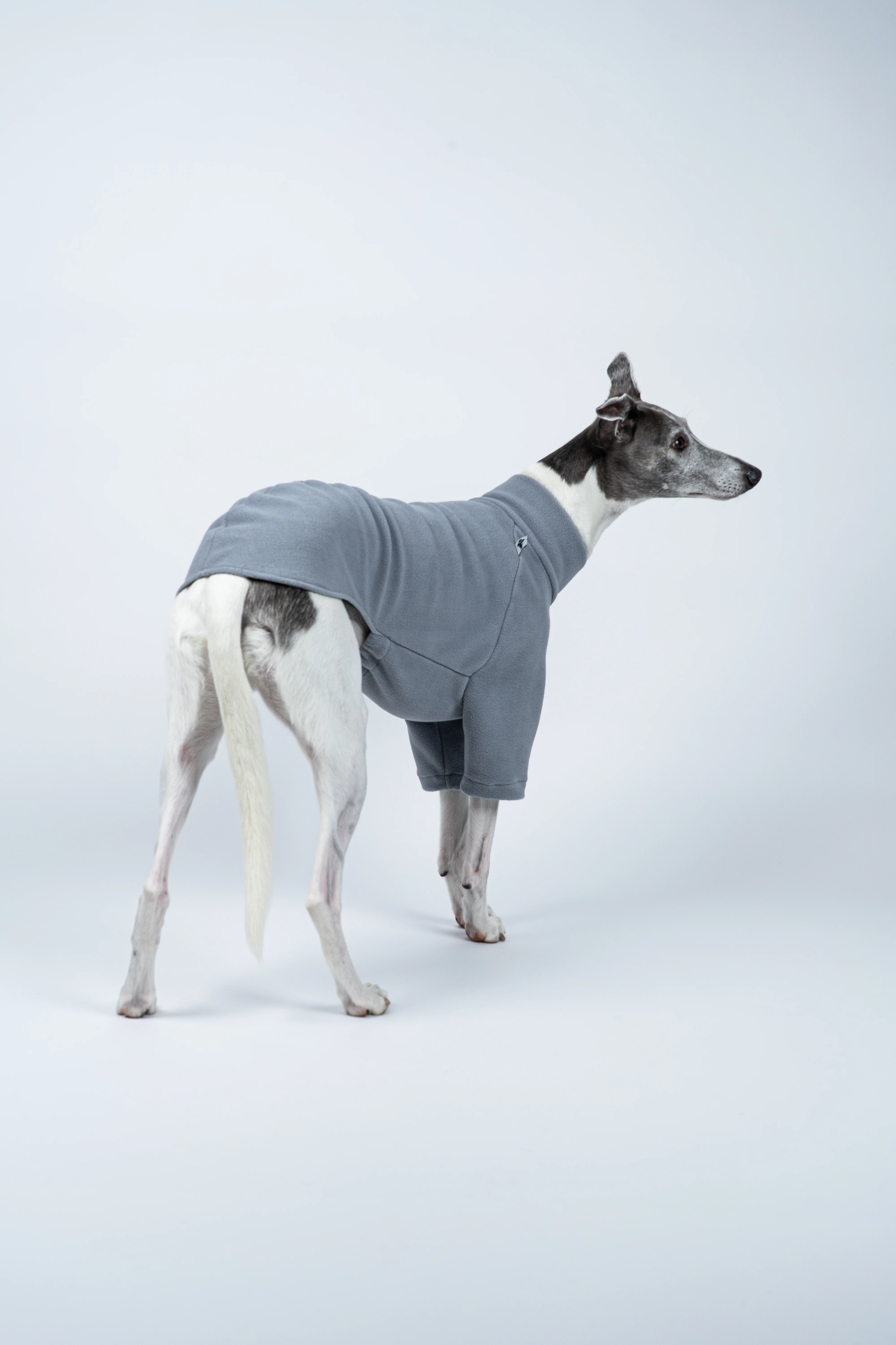 PULLOVER Windhund Light Grey - Image 7