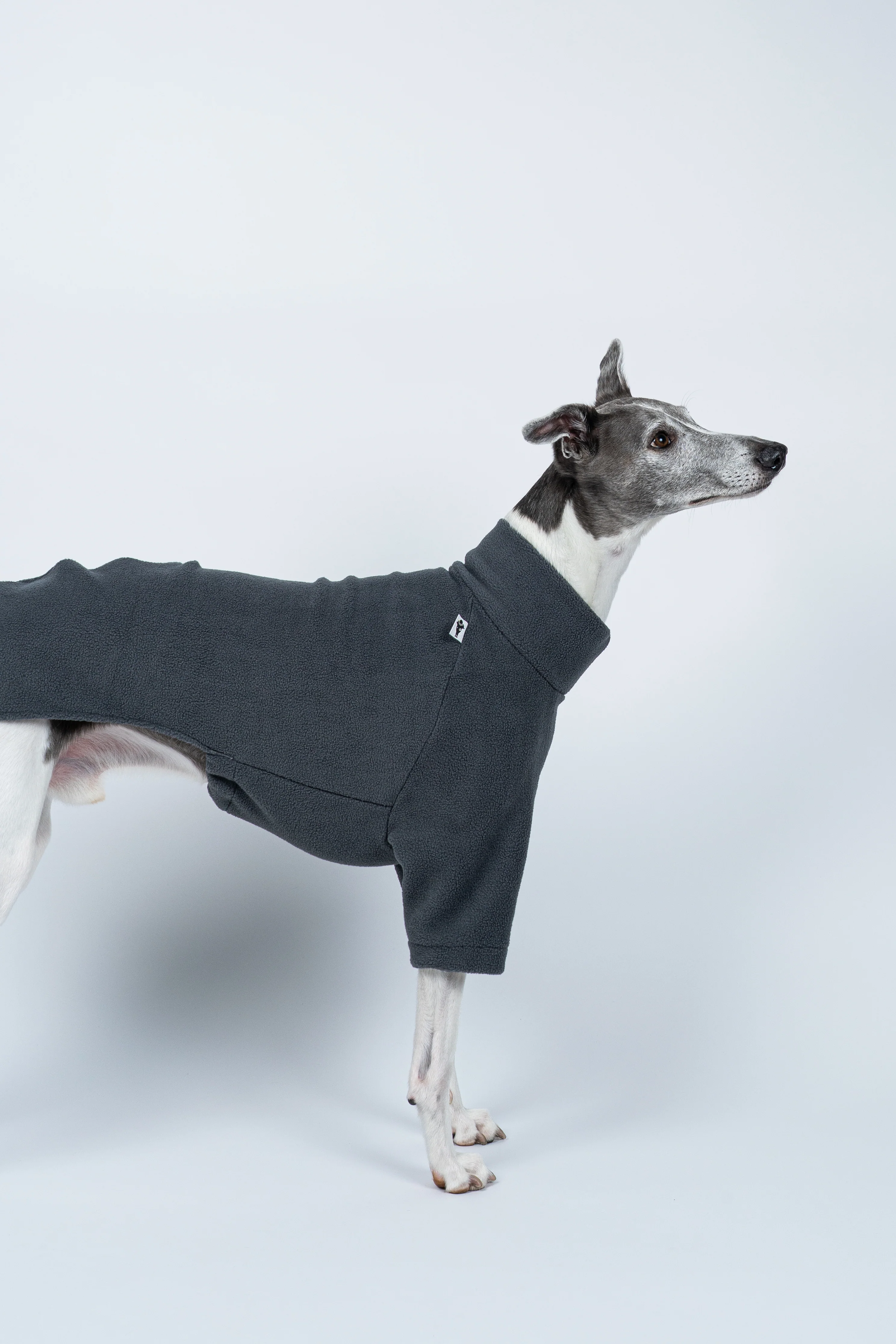 PULLOVER Windhund Graphite - Image 4