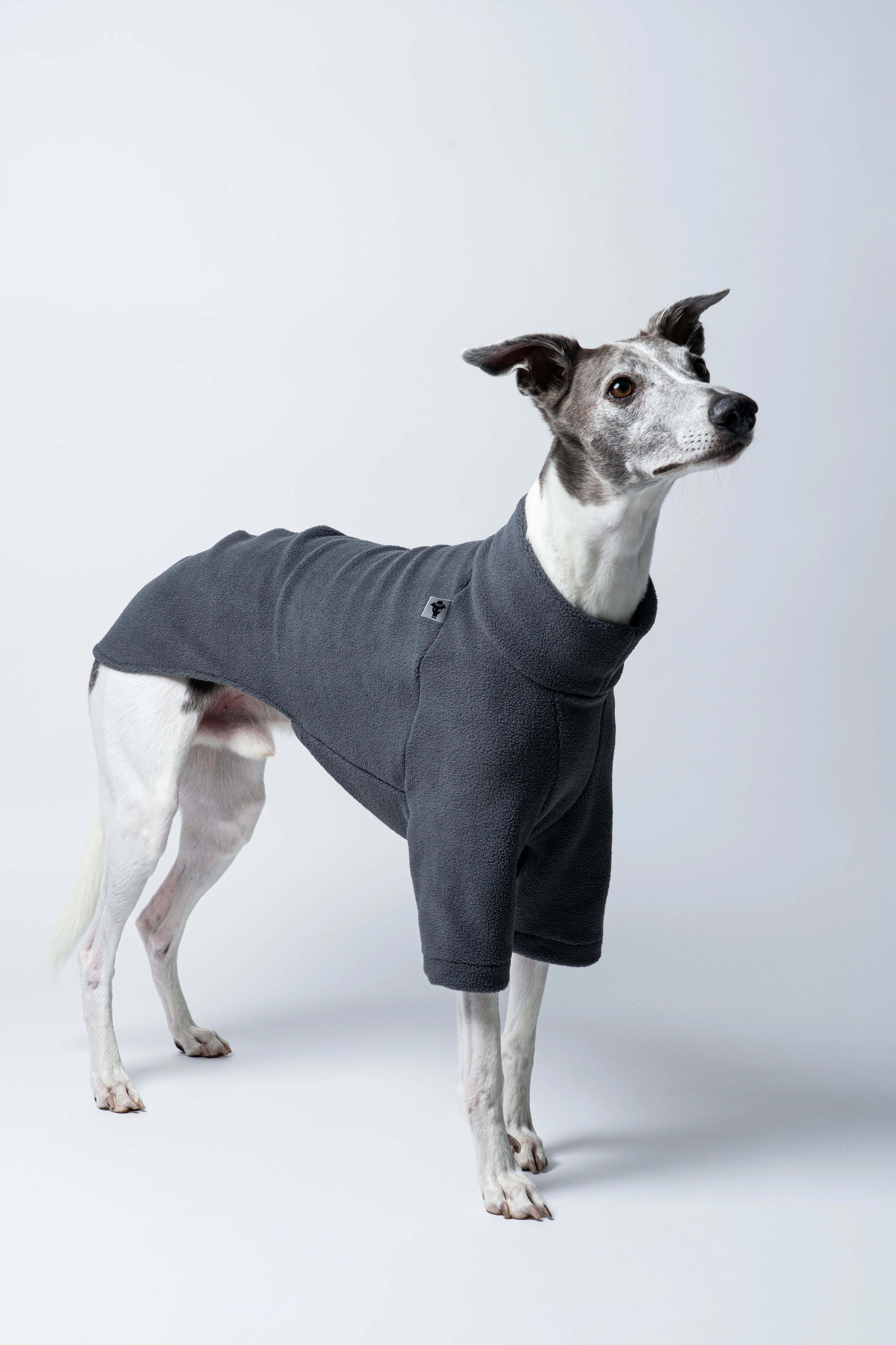 PULLOVER Windhund Graphite - Image 5