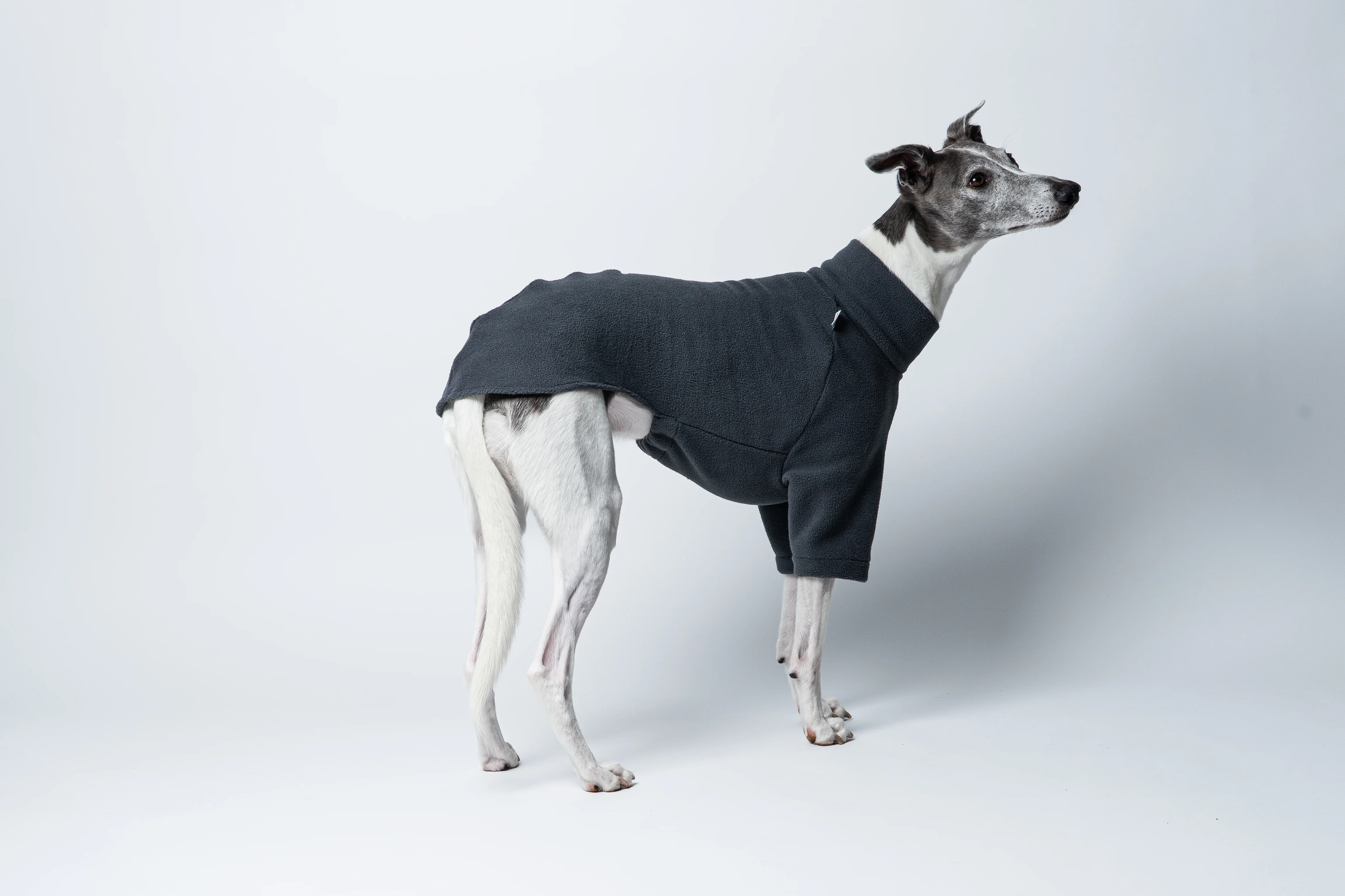 PULLOVER Windhund Graphite - Image 6