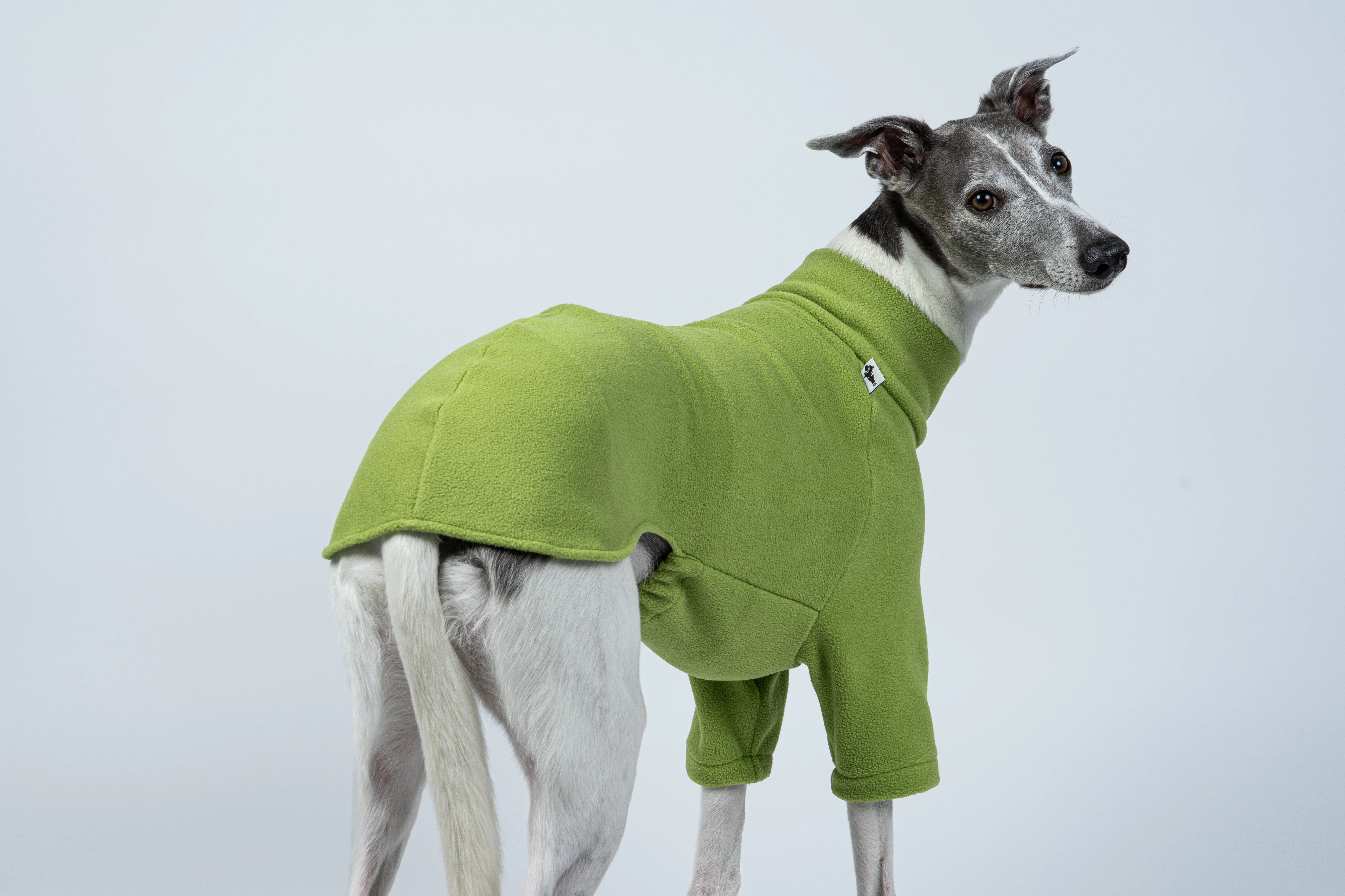 PULLOVER Windhund Light Green - Image 4