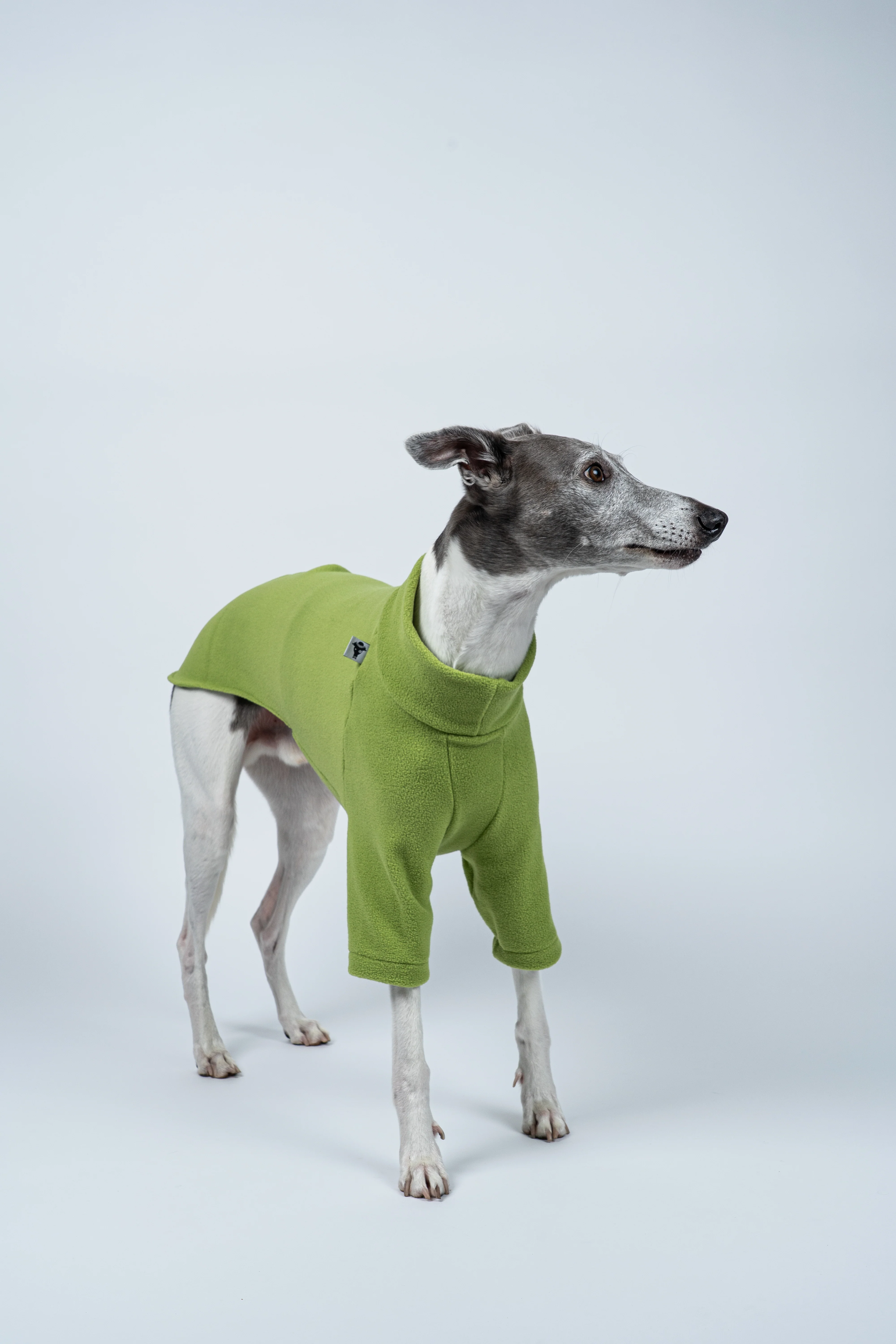 PULLOVER Windhund Light Green - Image 5