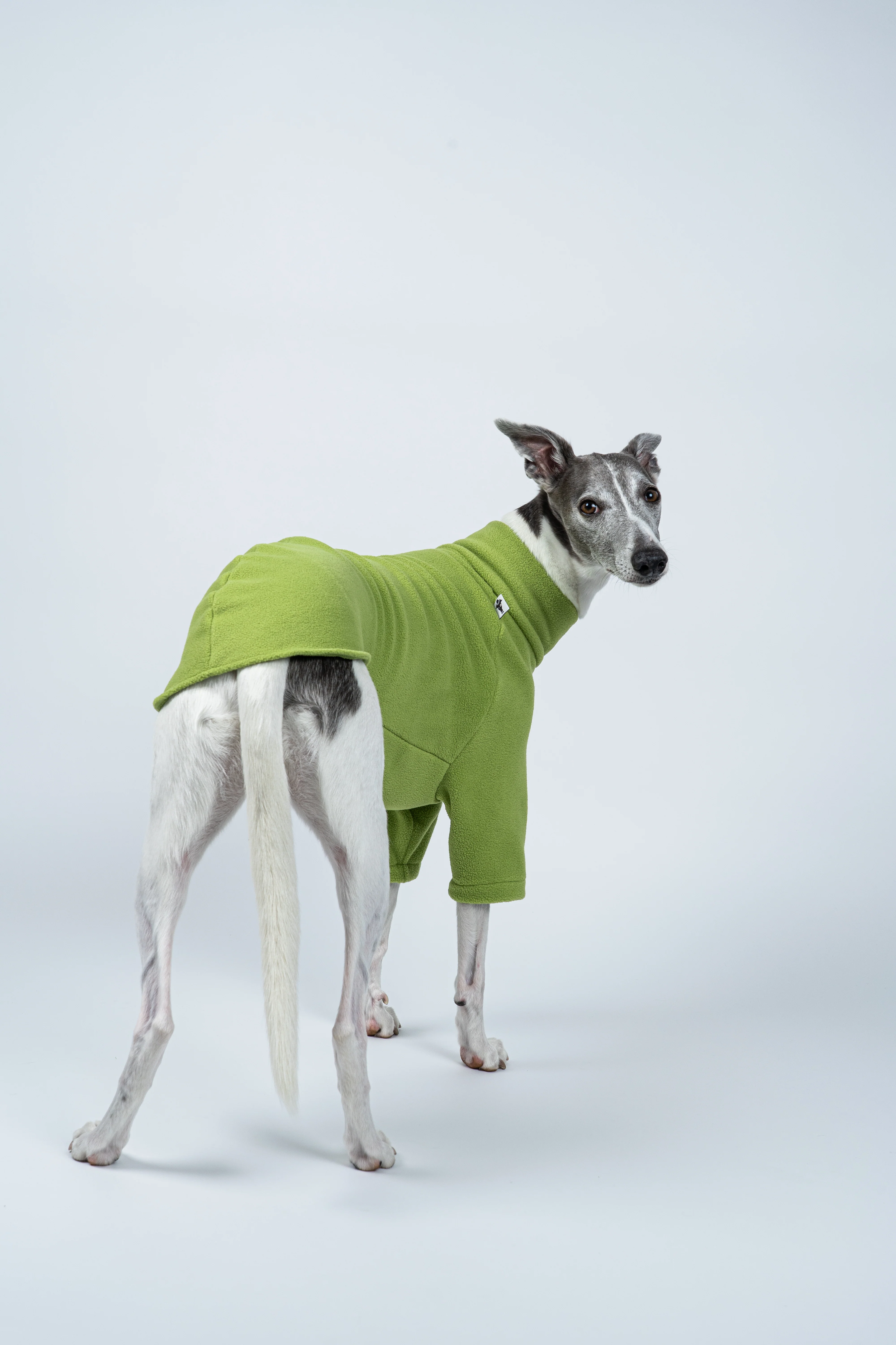 PULLOVER Windhund Light Green - Image 6