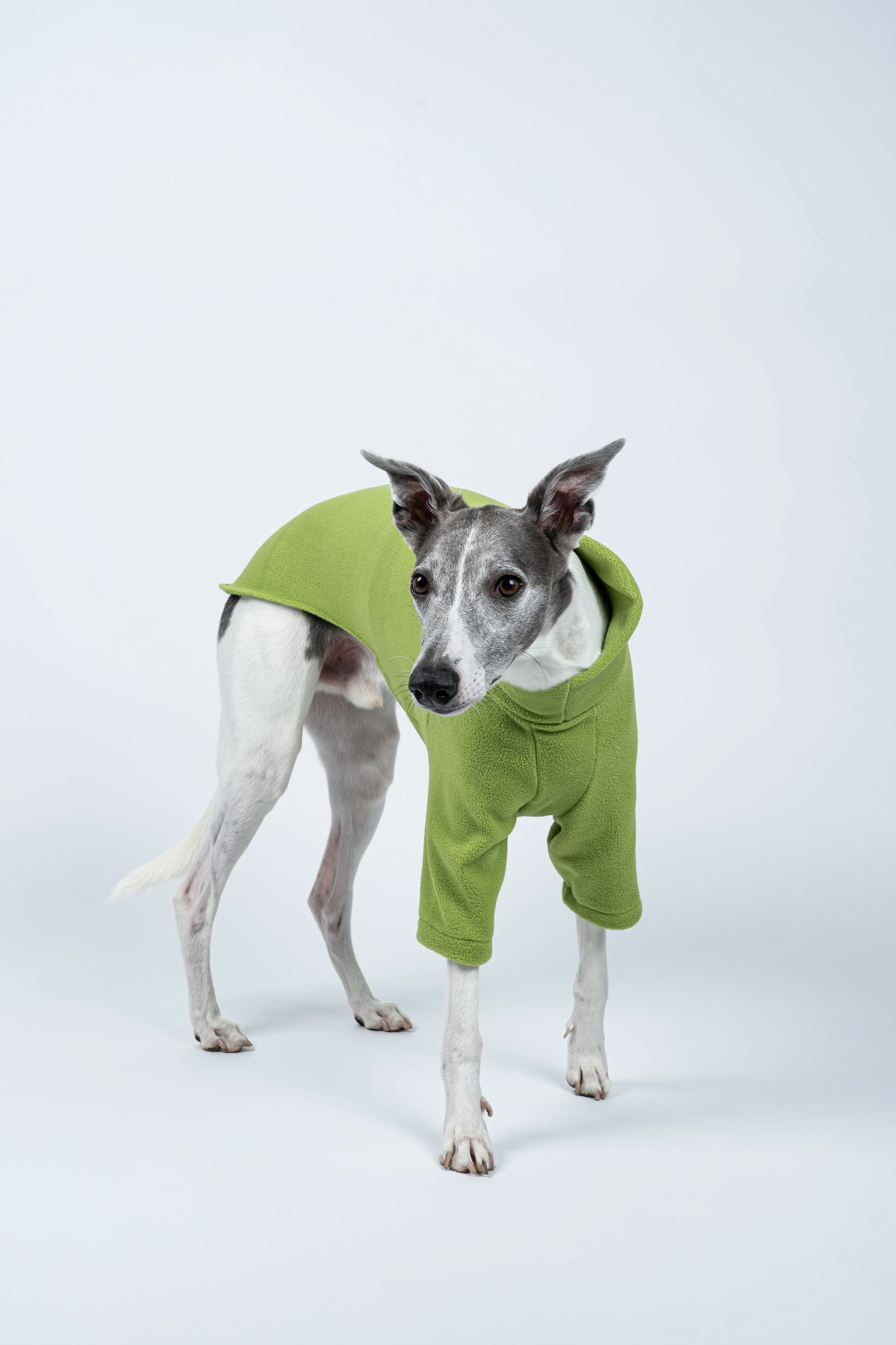 PULLOVER Windhund Light Green - Image 7