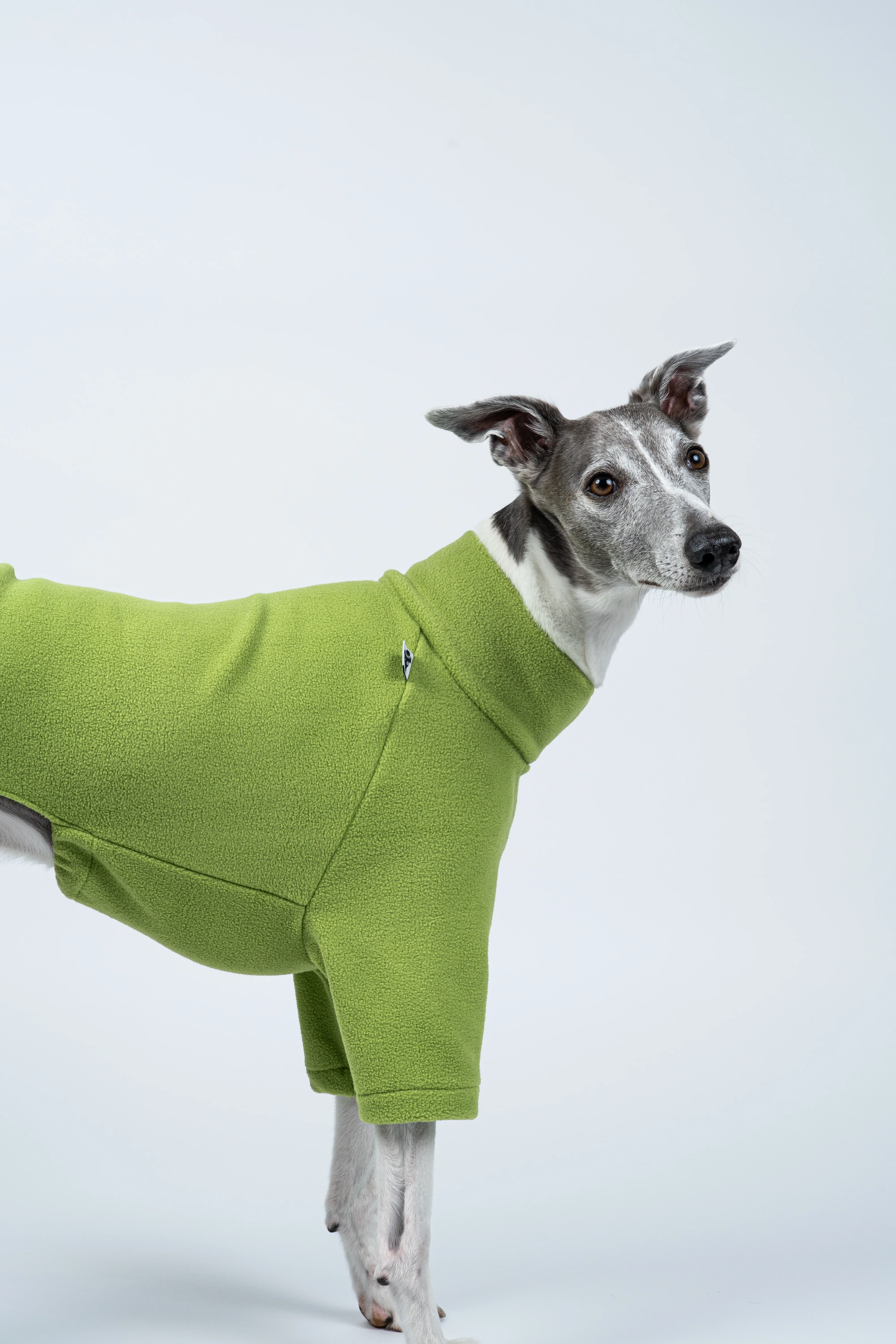 PULLOVER Windhund Light Green - Image 8