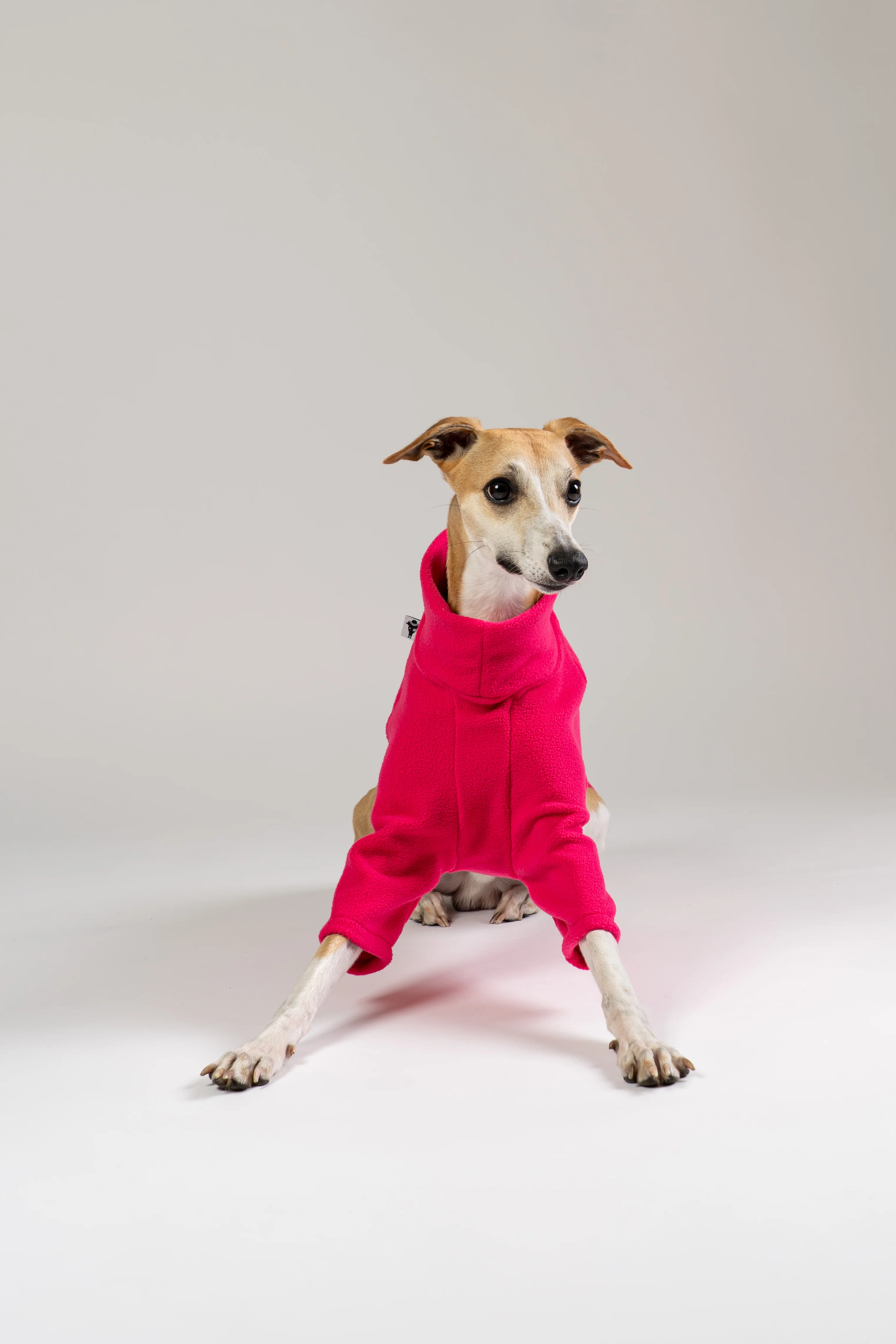 PULLOVER Windhund Magenta - Image 4