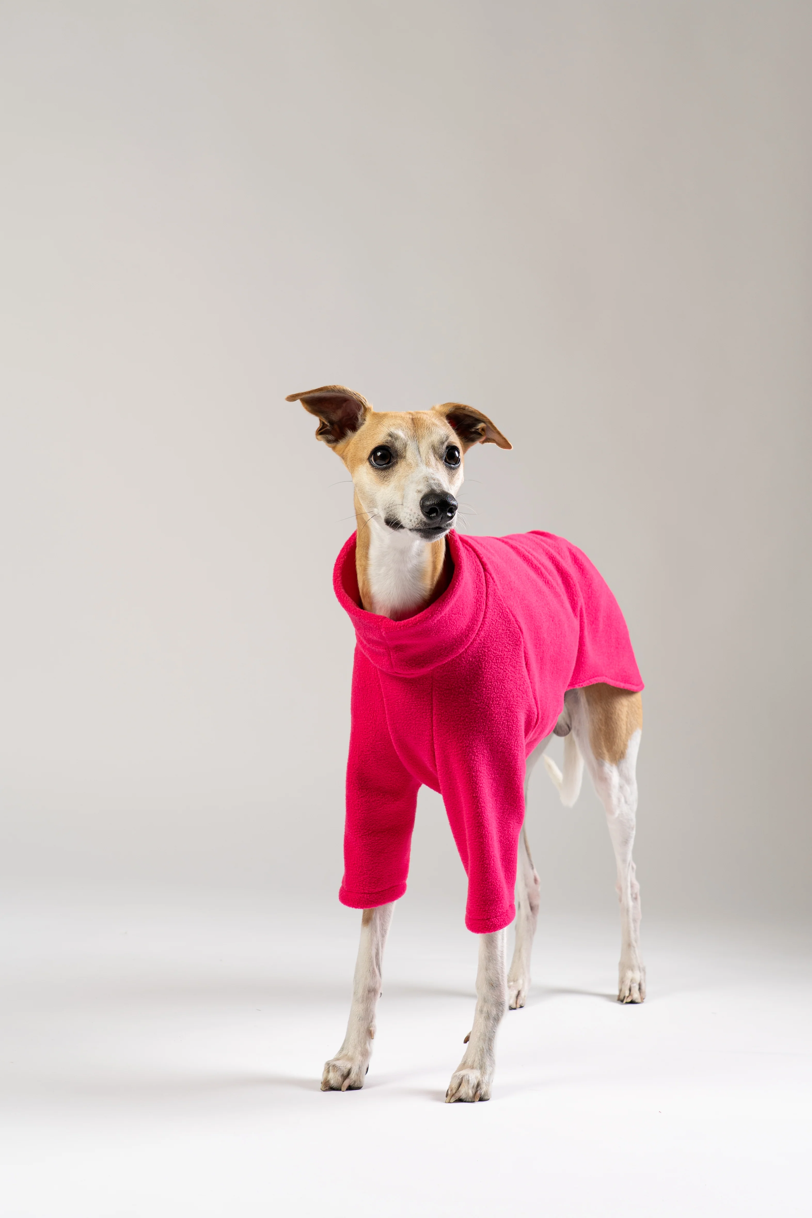 PULLOVER Windhund Magenta - Image 5