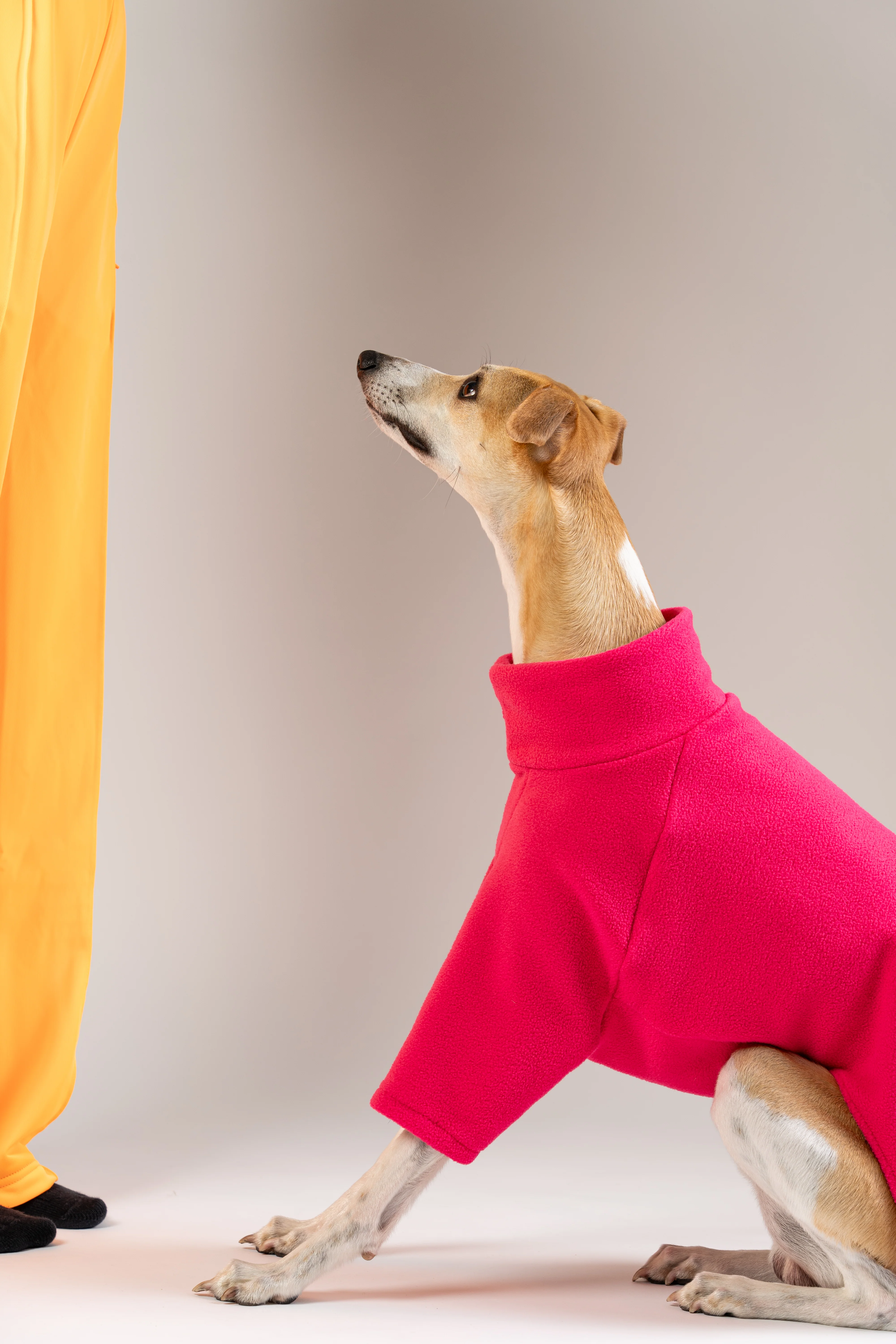 PULLOVER Windhund Magenta - Image 6
