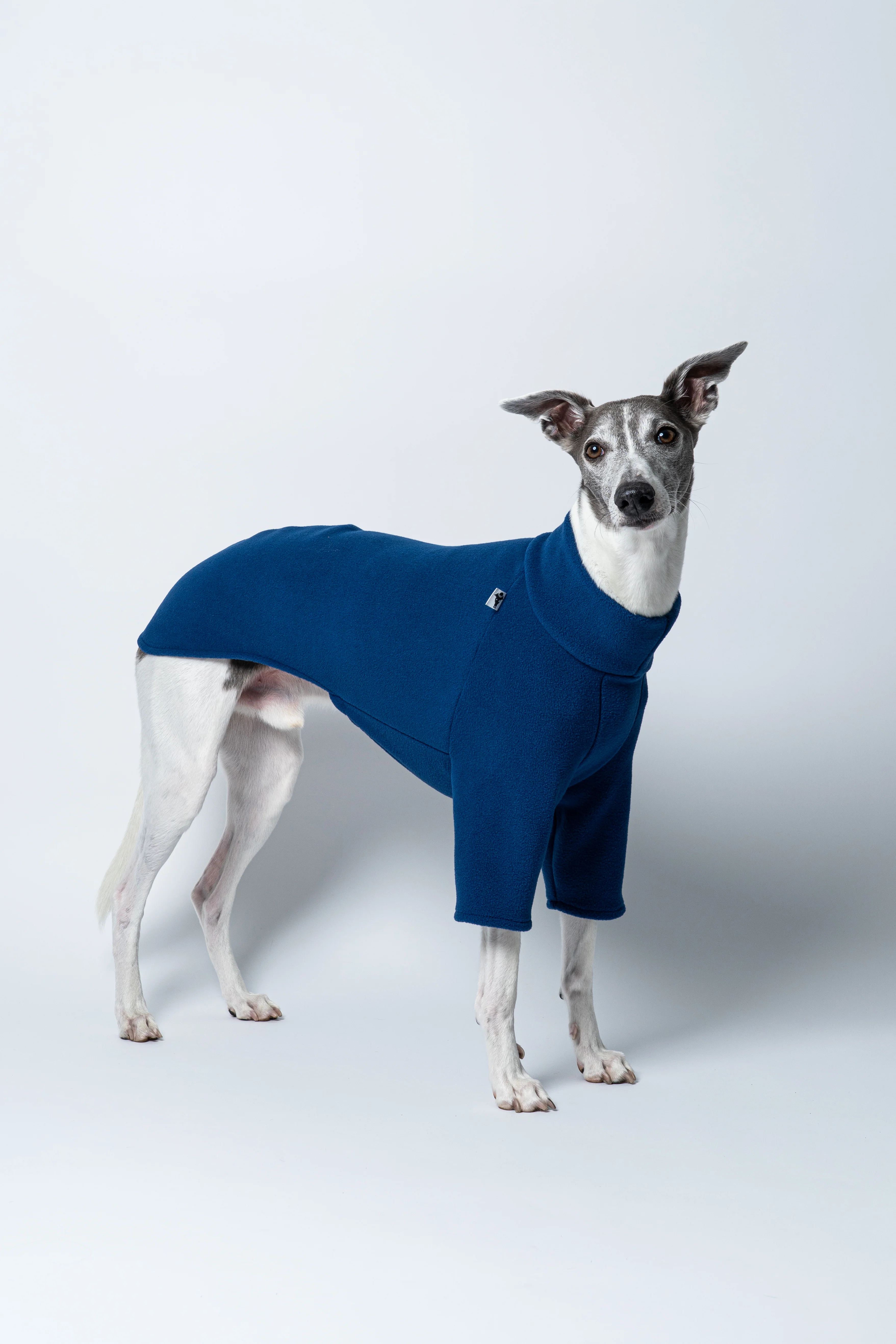 PULLOVER Windhund Navy - Image 4