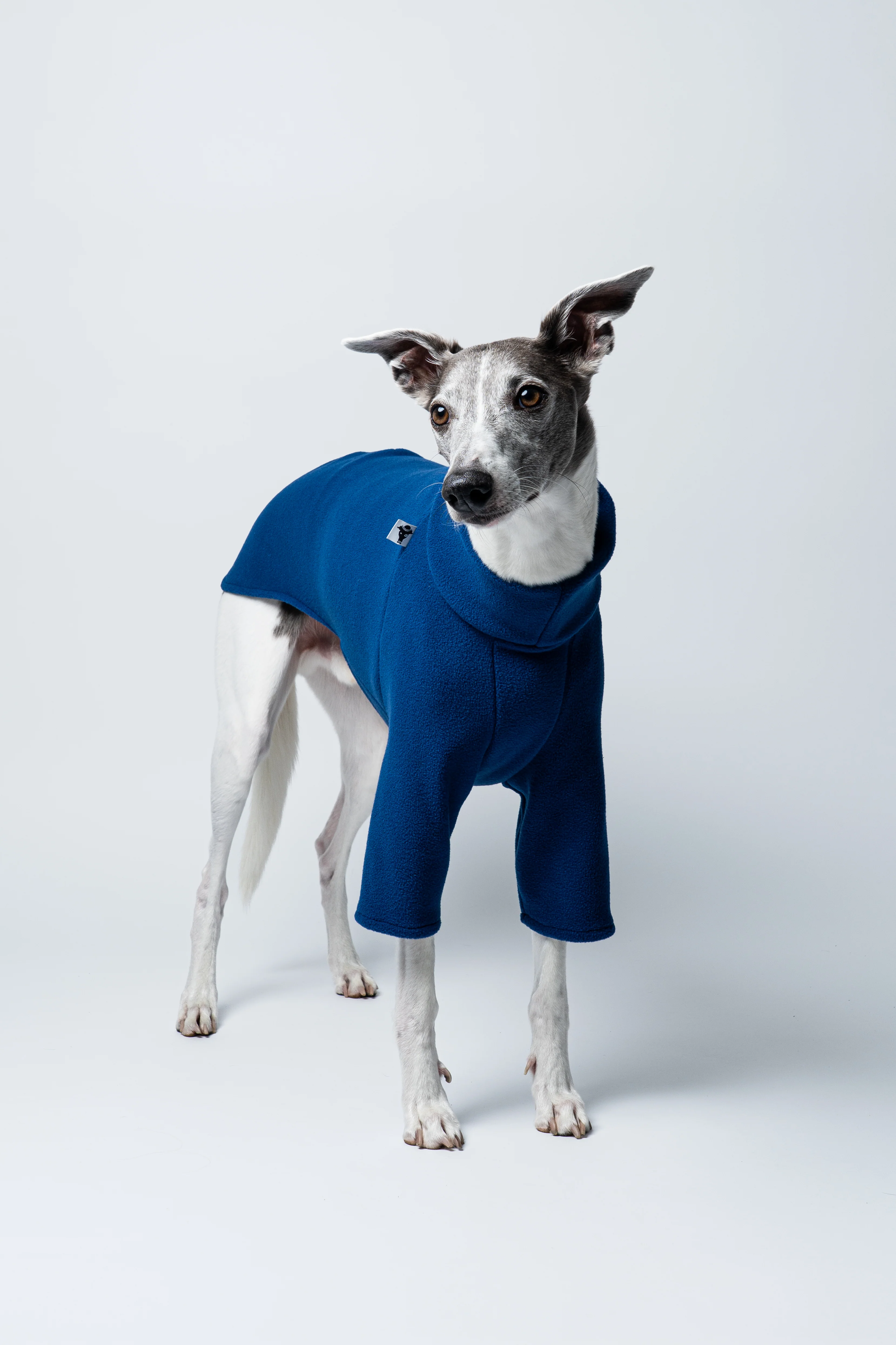 PULLOVER Windhund Navy - Image 5