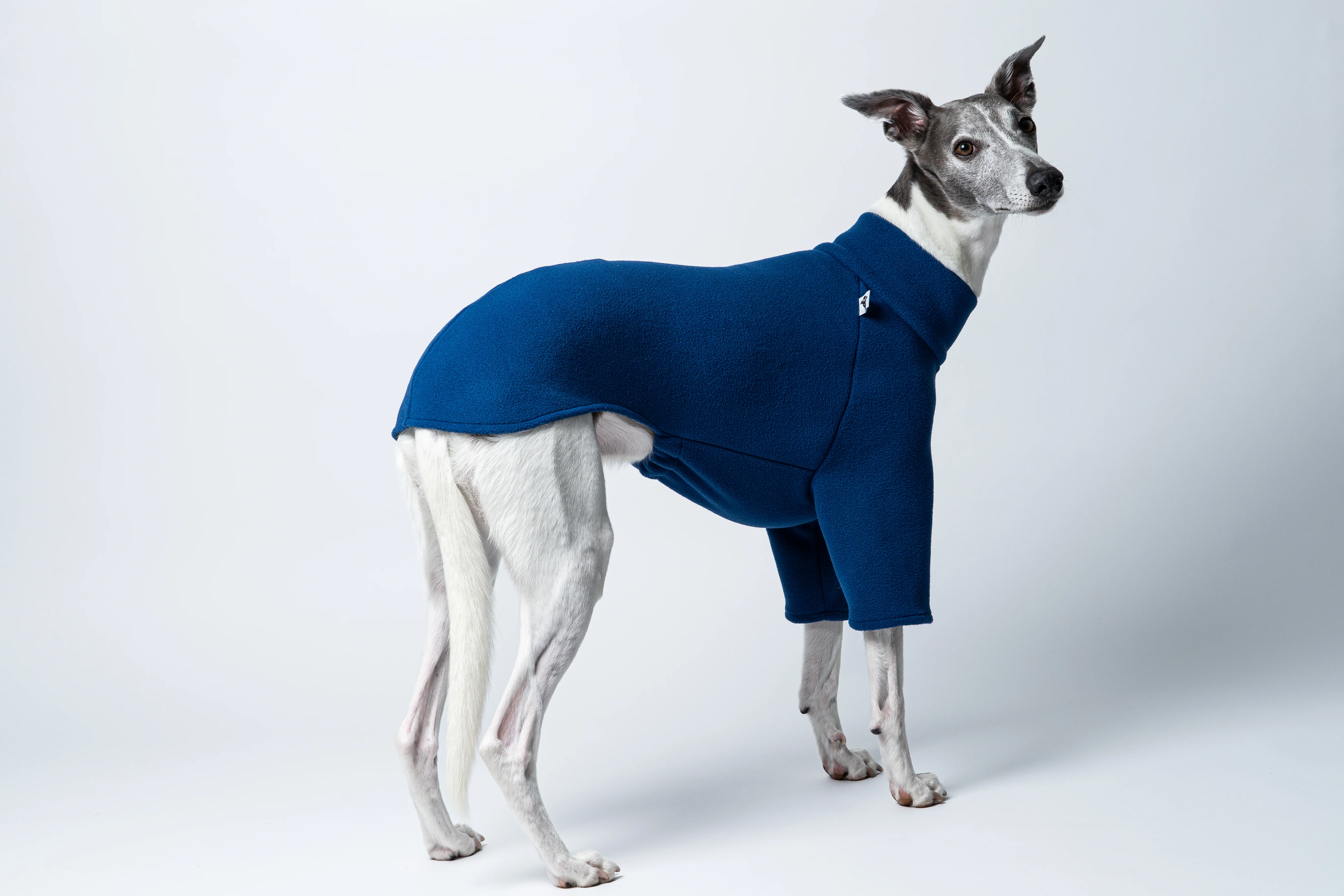 PULLOVER Windhund Navy - Image 6