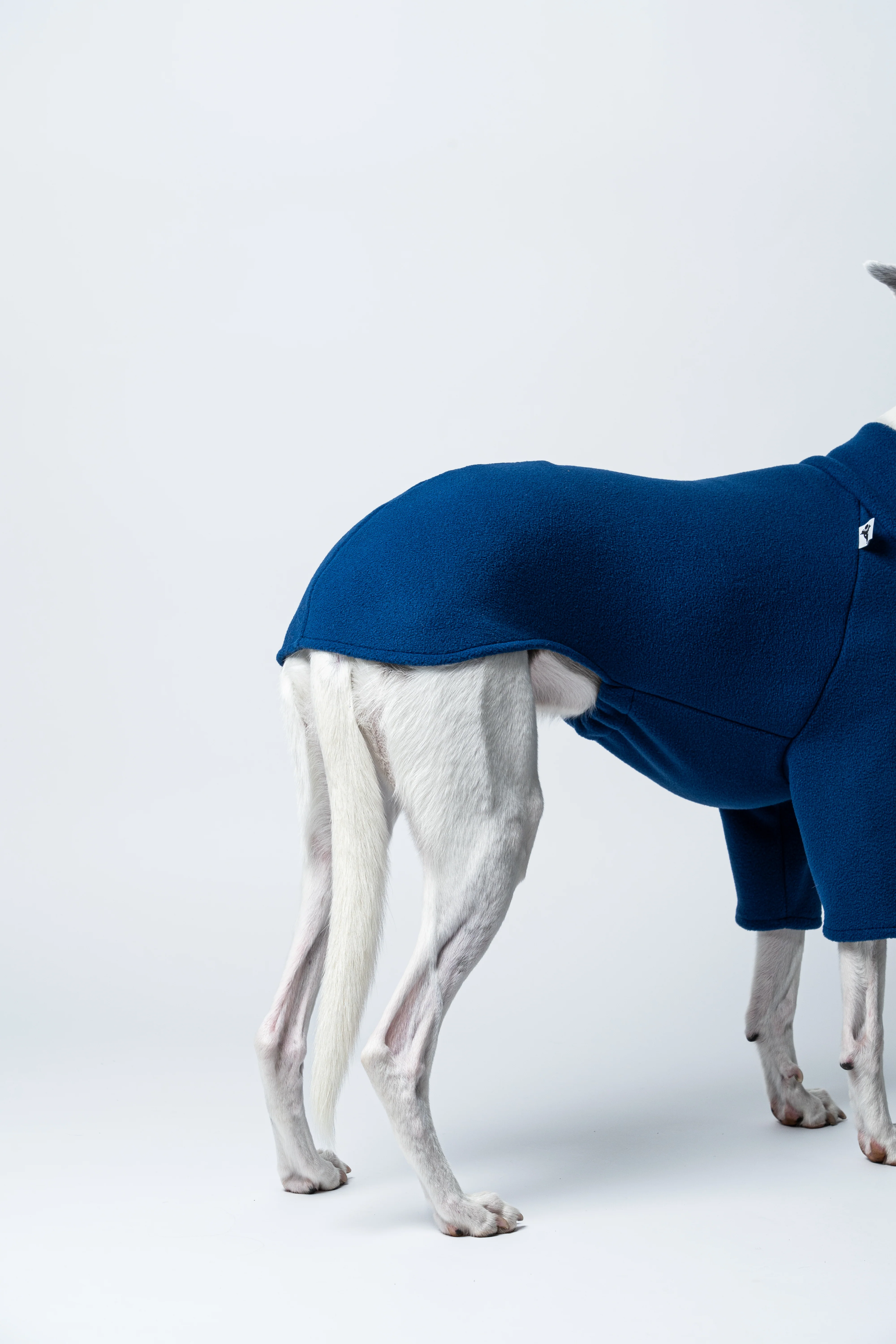 PULLOVER Windhund Navy - Image 7