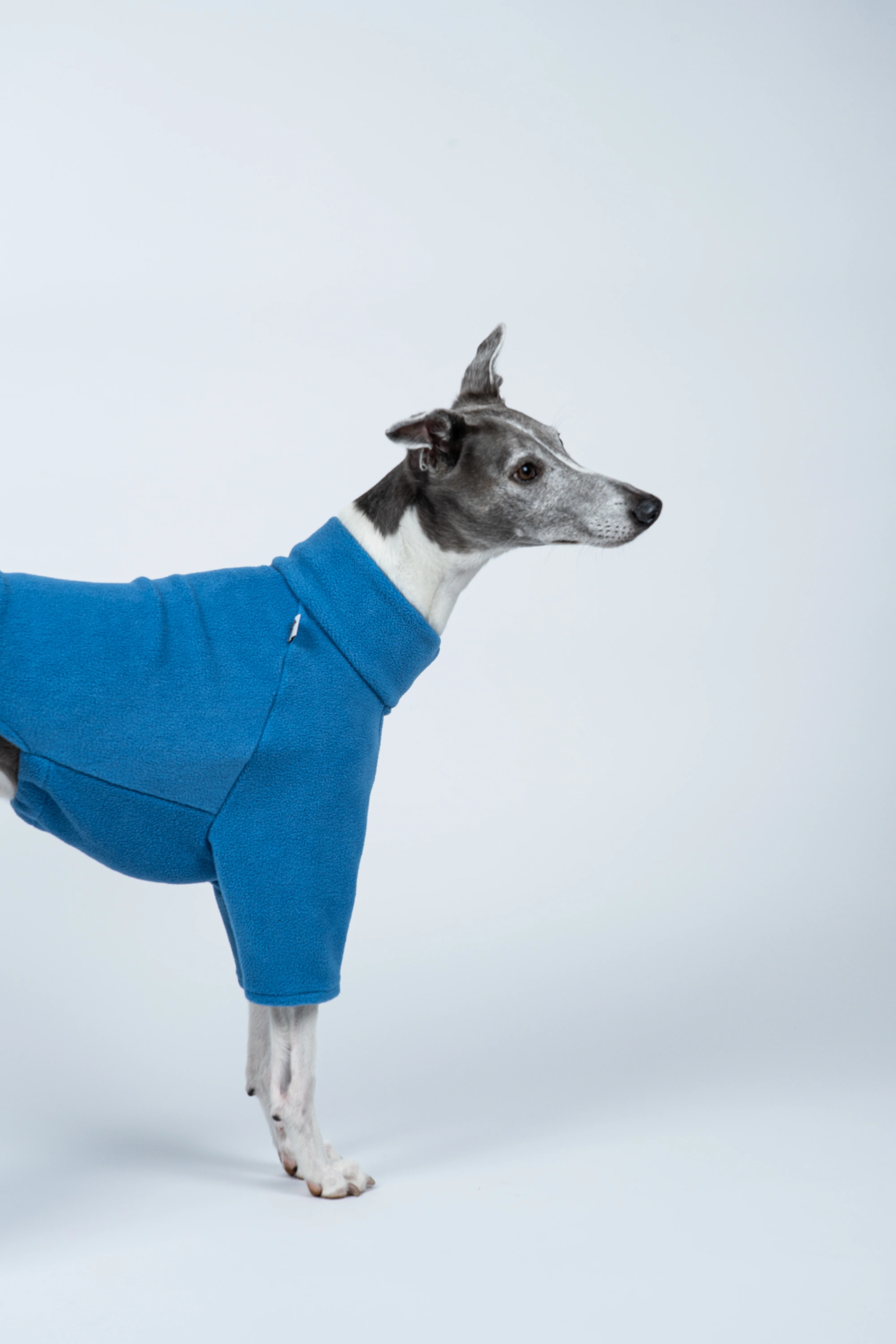PULLOVER Windhund Sky Blue - Image 4