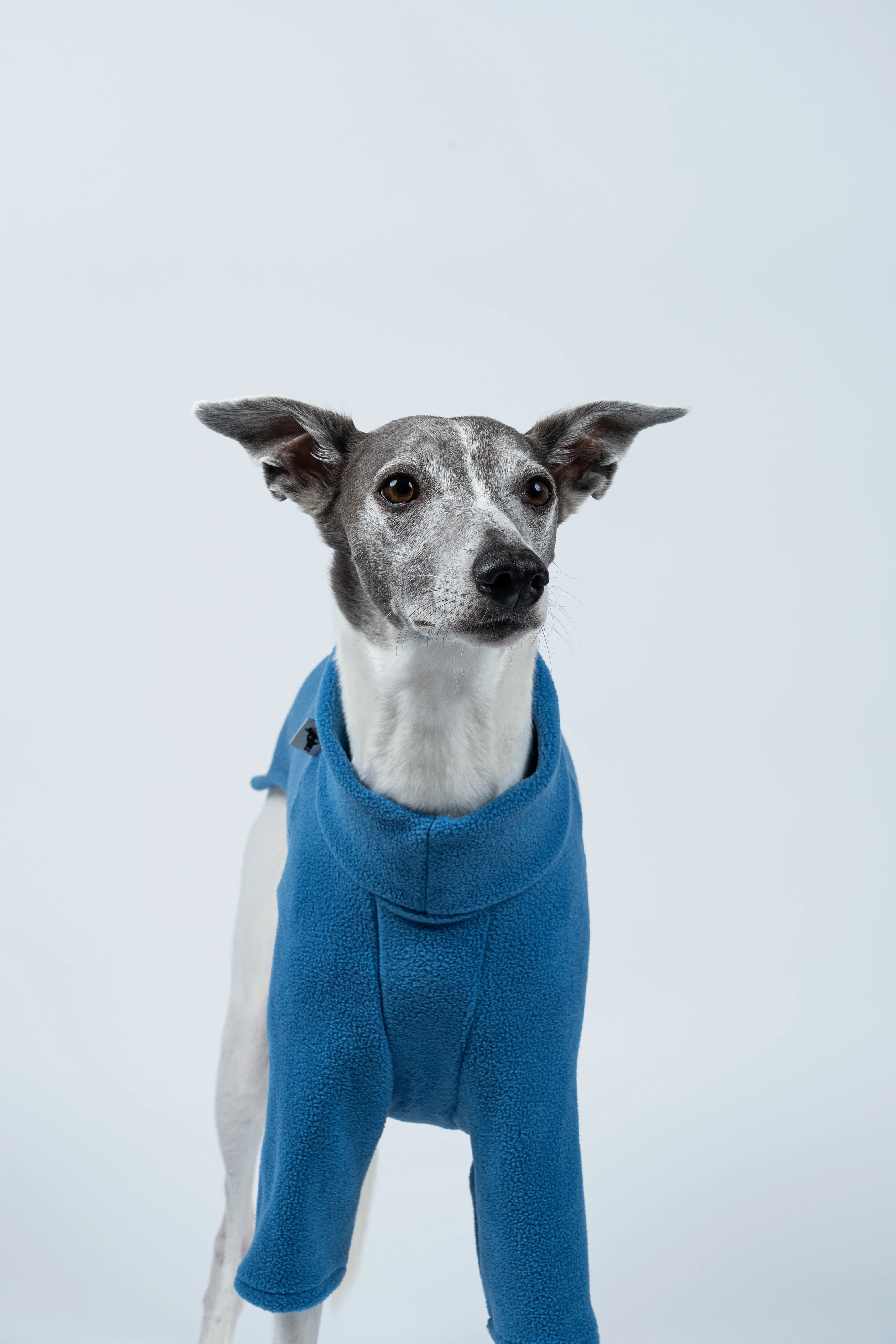 PULLOVER Windhund Sky Blue - Image 5