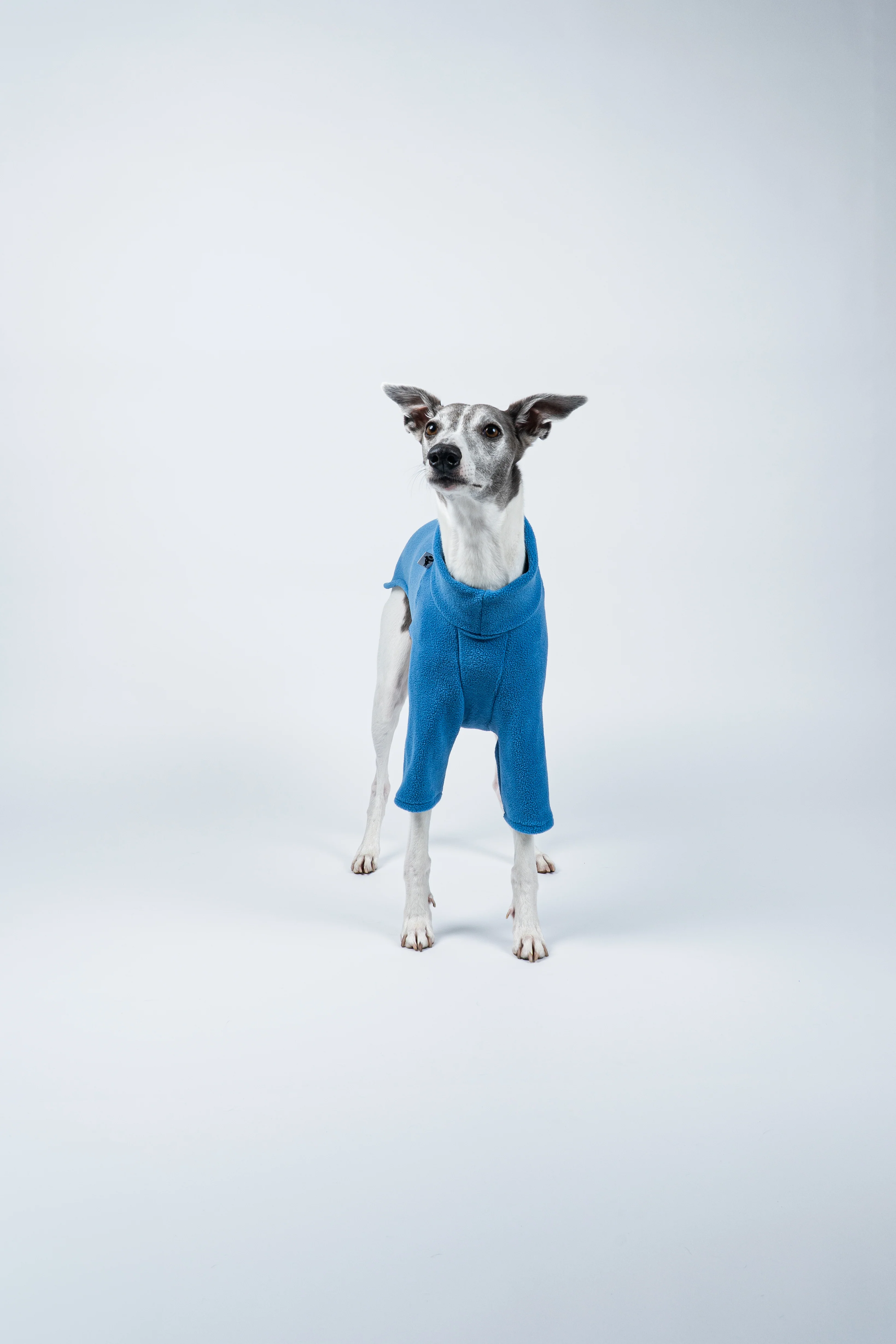 PULLOVER Windhund Sky Blue - Image 6