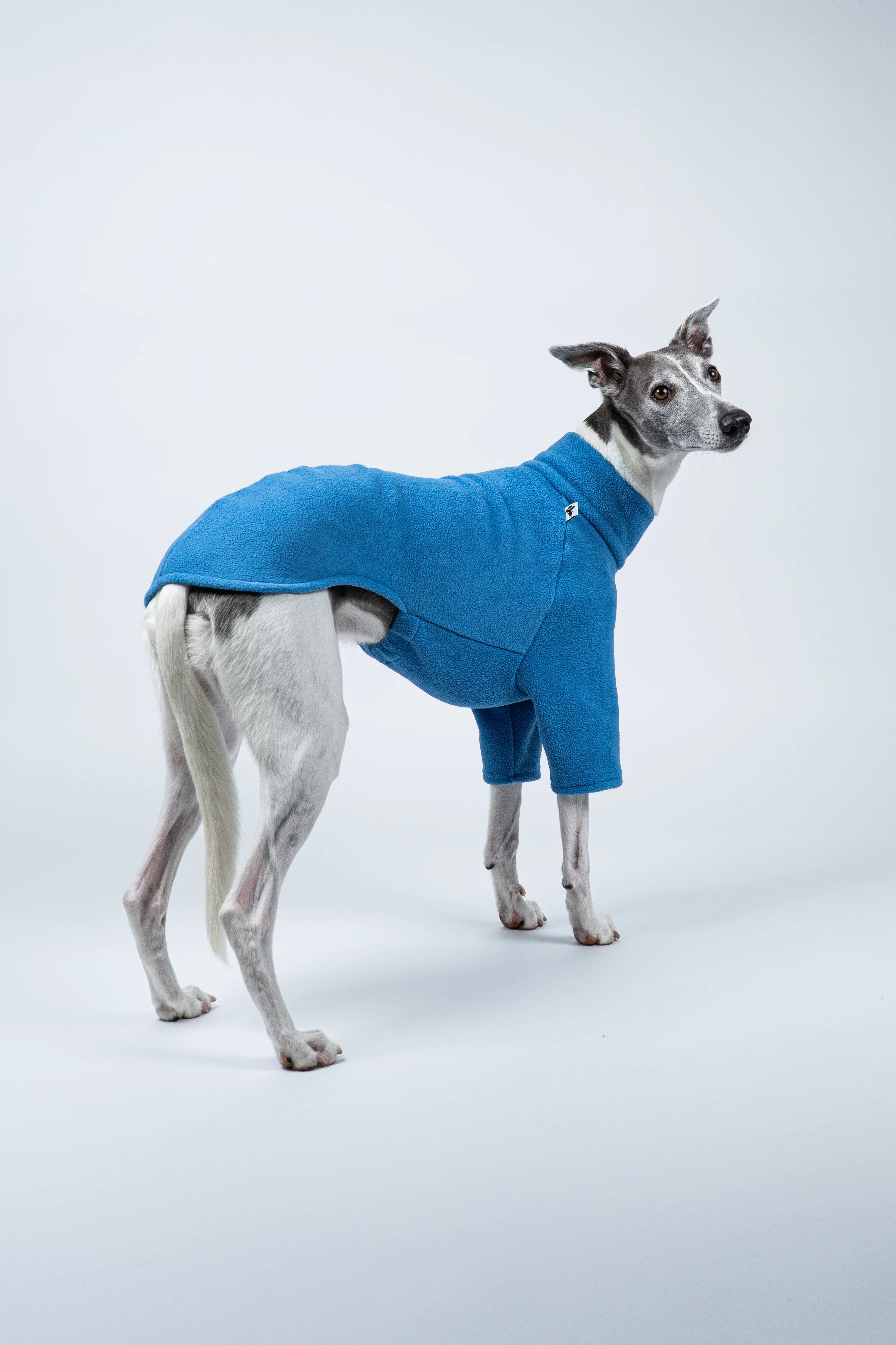 PULLOVER Windhund Sky Blue - Image 7