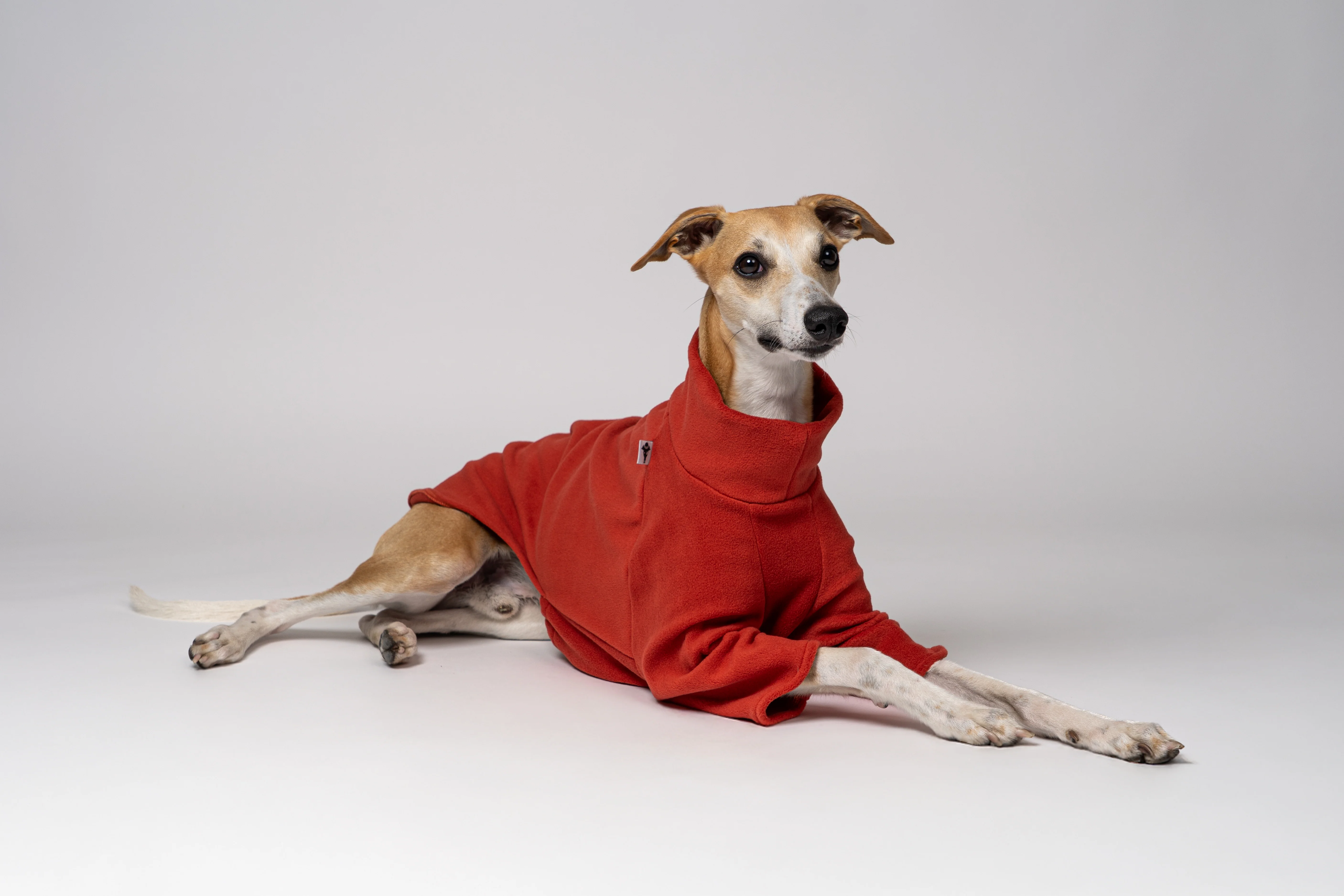 PULLOVER Windhund Terracotta - Image 4