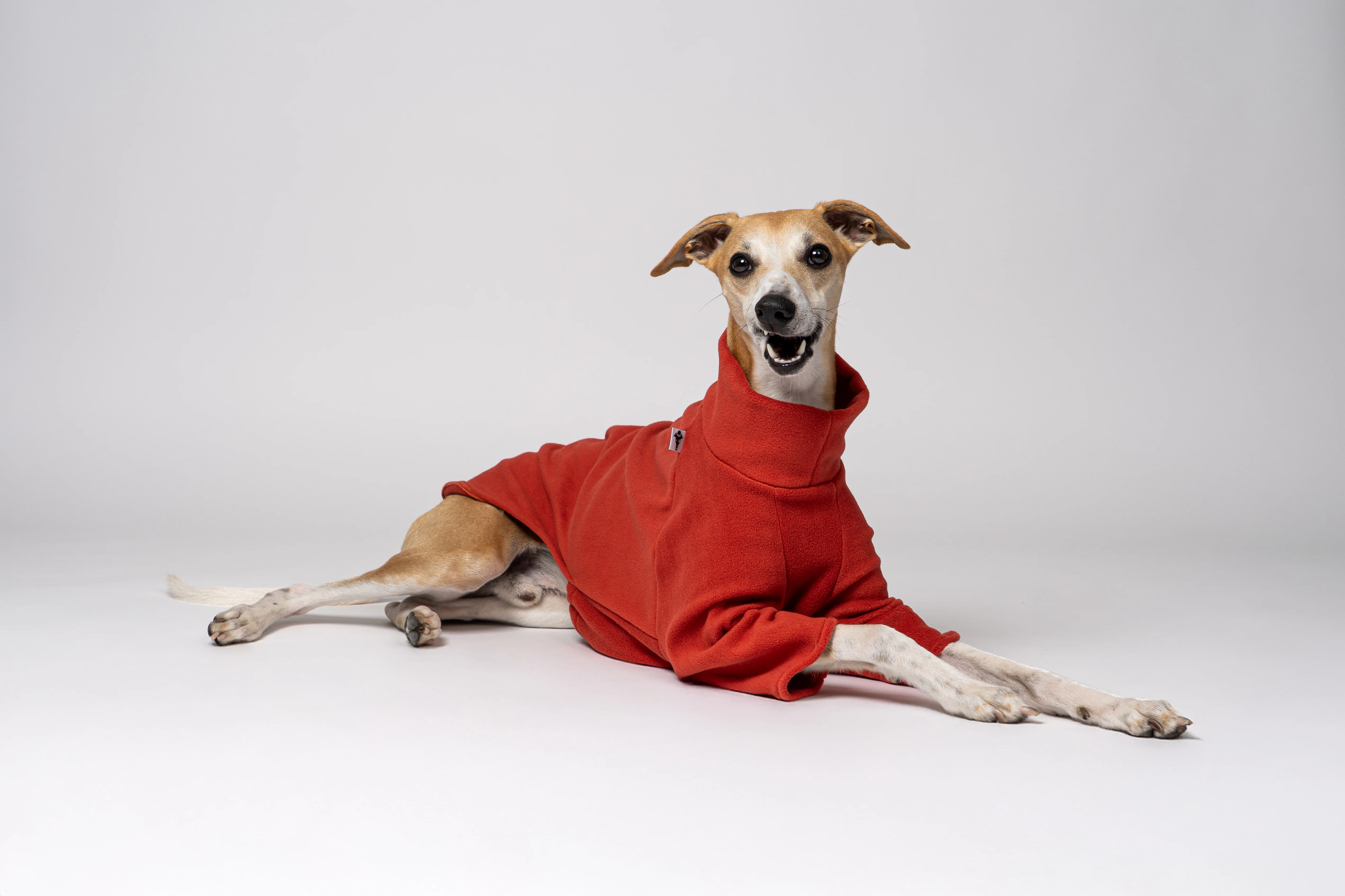 PULLOVER Windhund Terracotta - Image 5