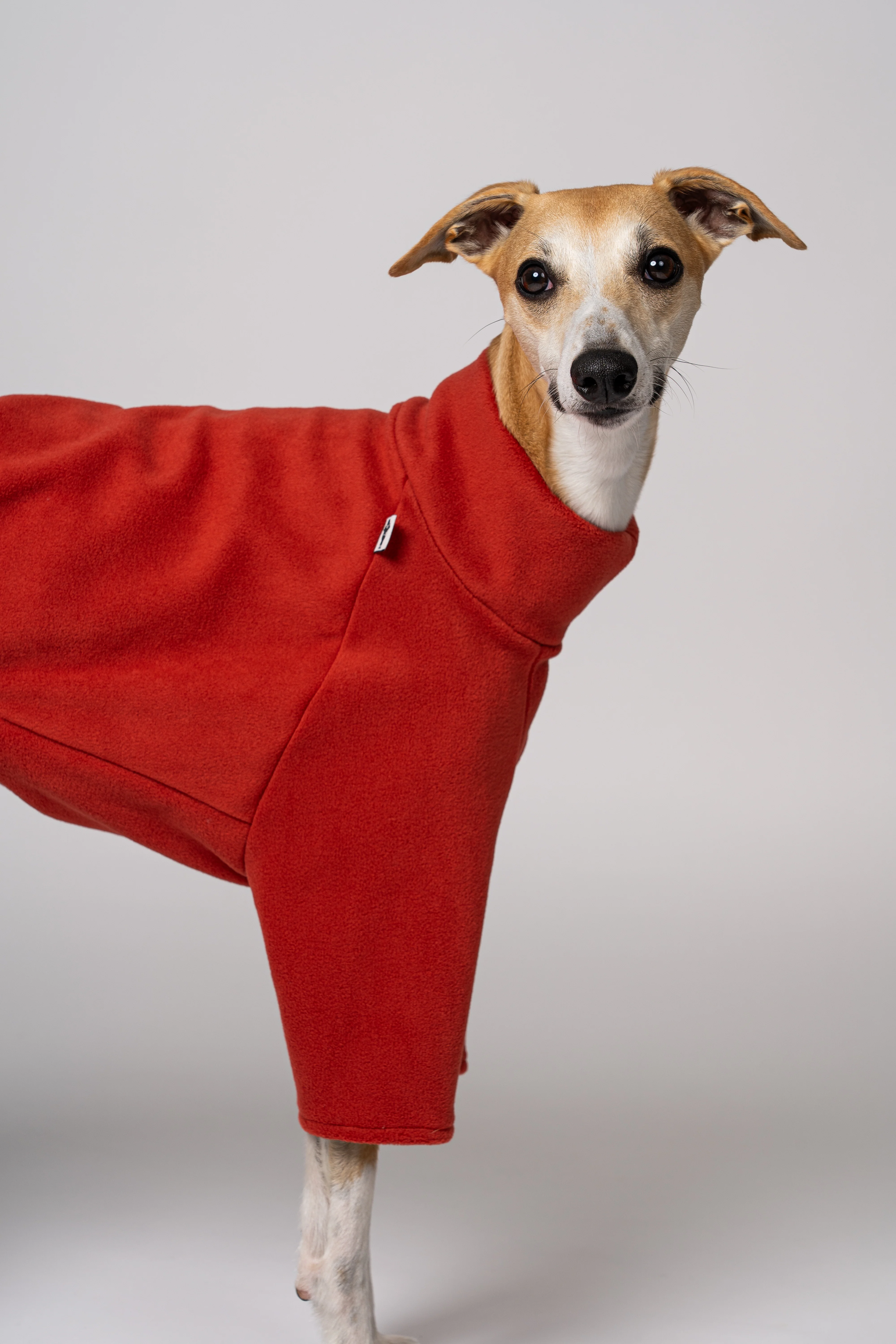 PULLOVER Windhund Terracotta - Image 6