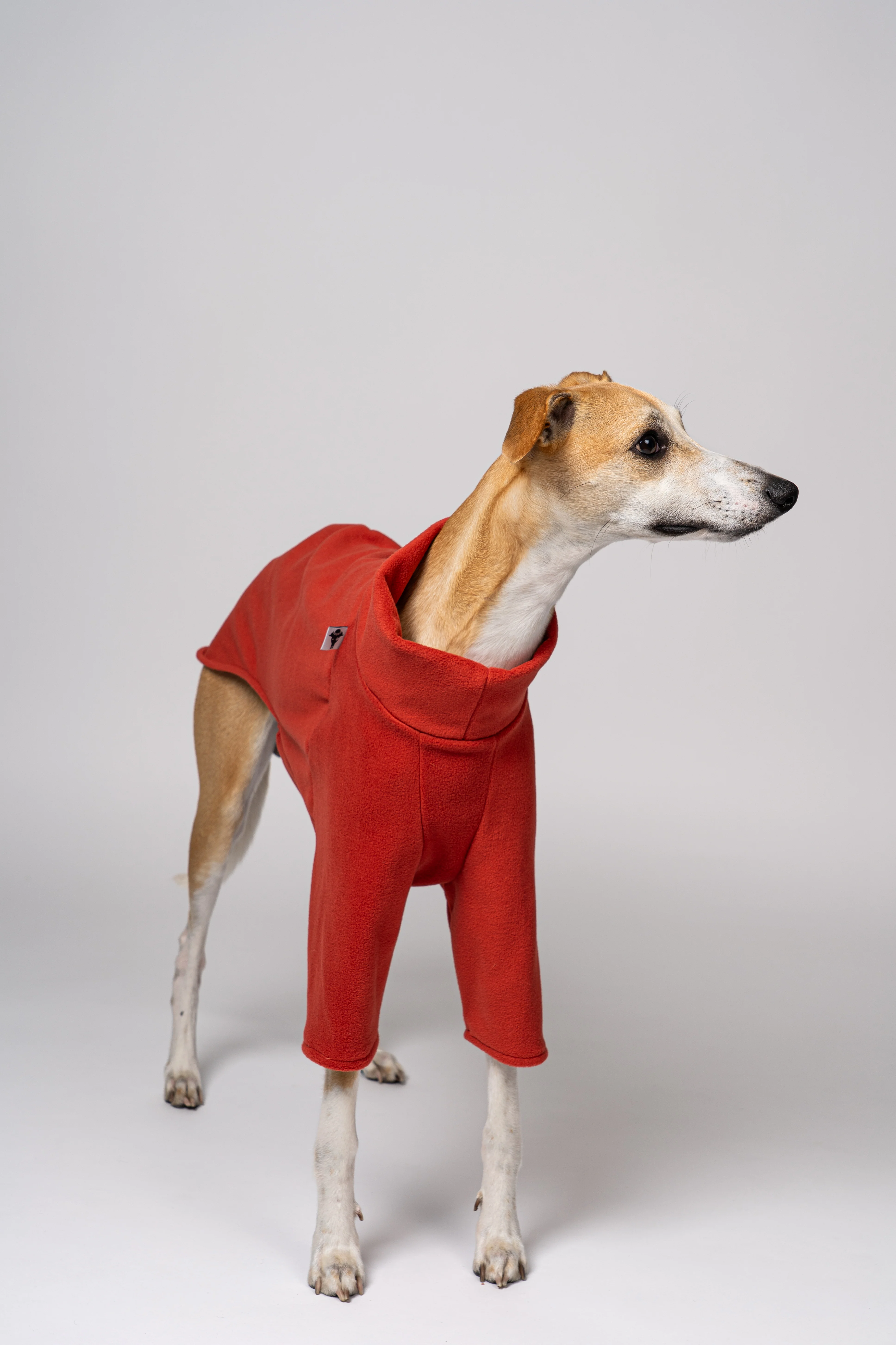 PULLOVER Windhund Terracotta - Image 7