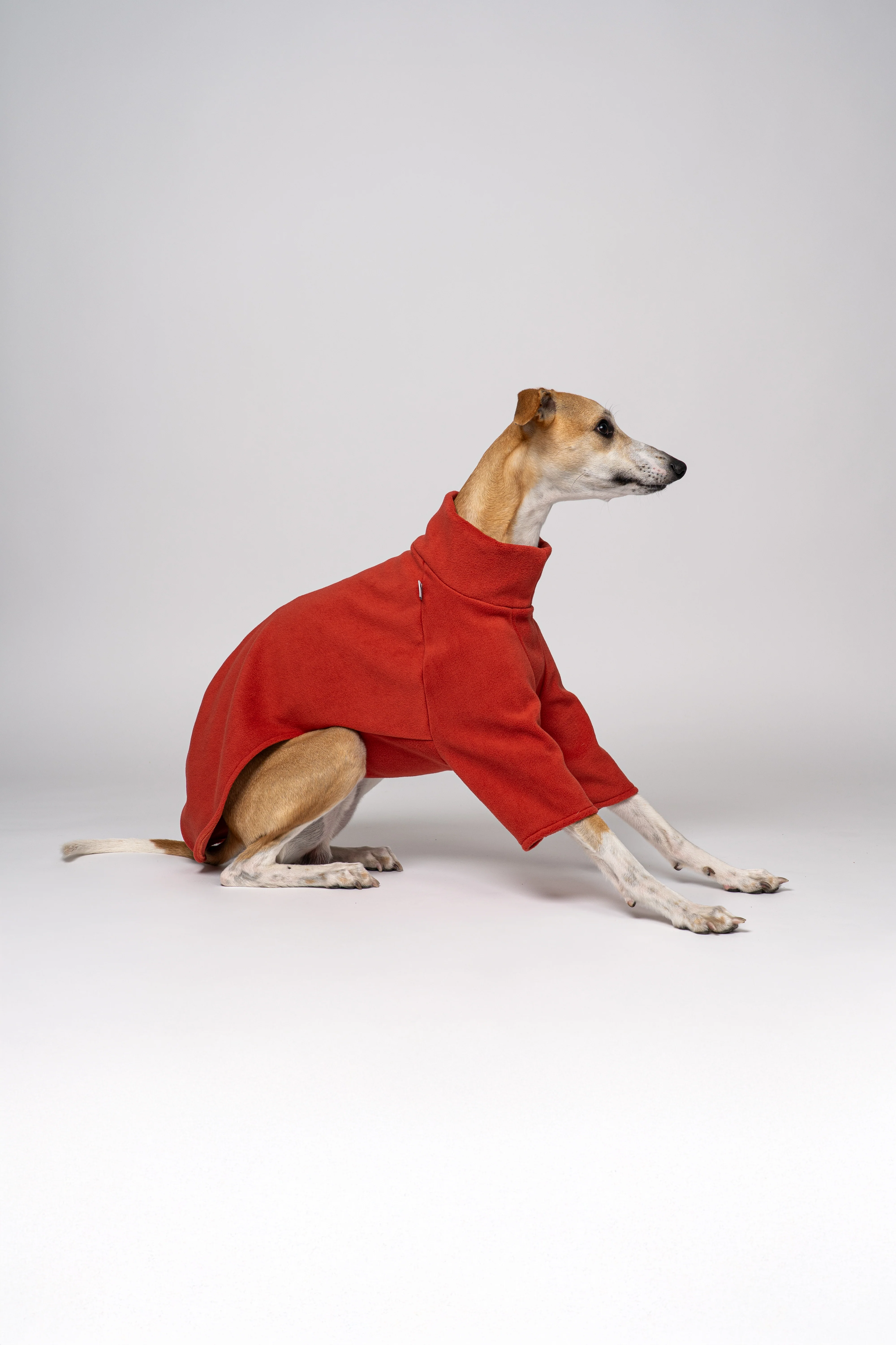 PULLOVER Windhund Terracotta - Image 8