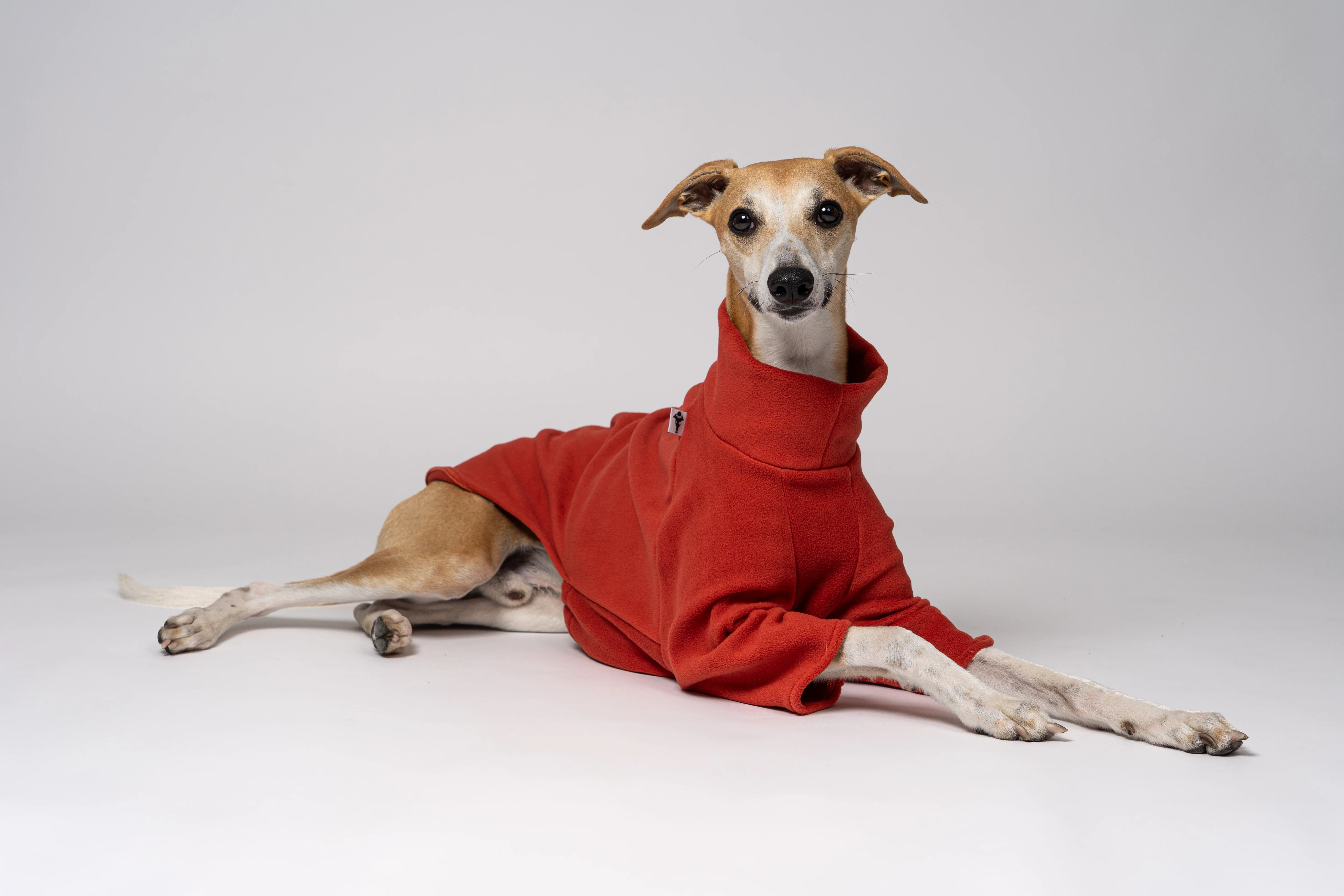 PULLOVER Windhund Terracotta - Image 9