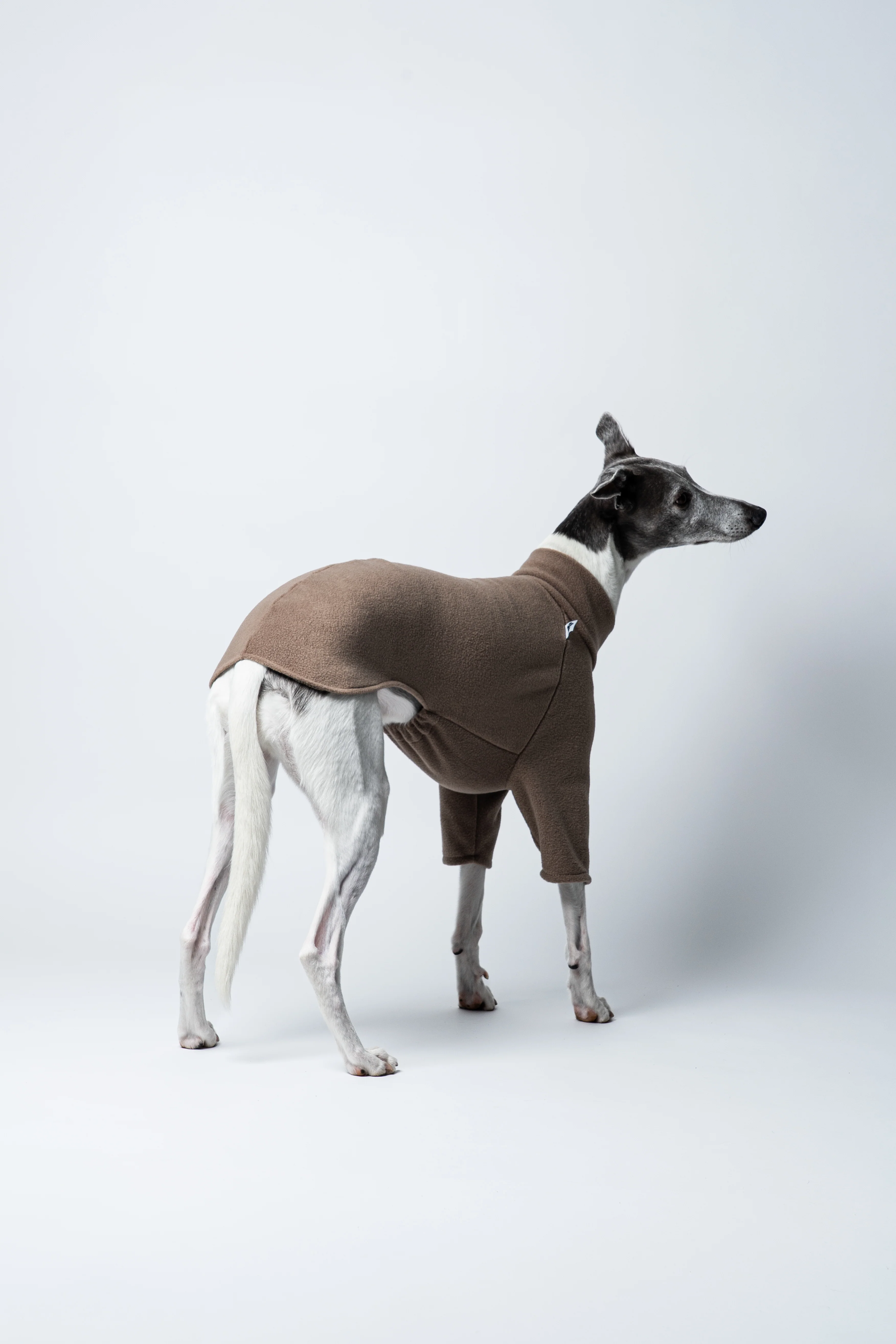 PULLOVER Windhund Walnut - Image 5
