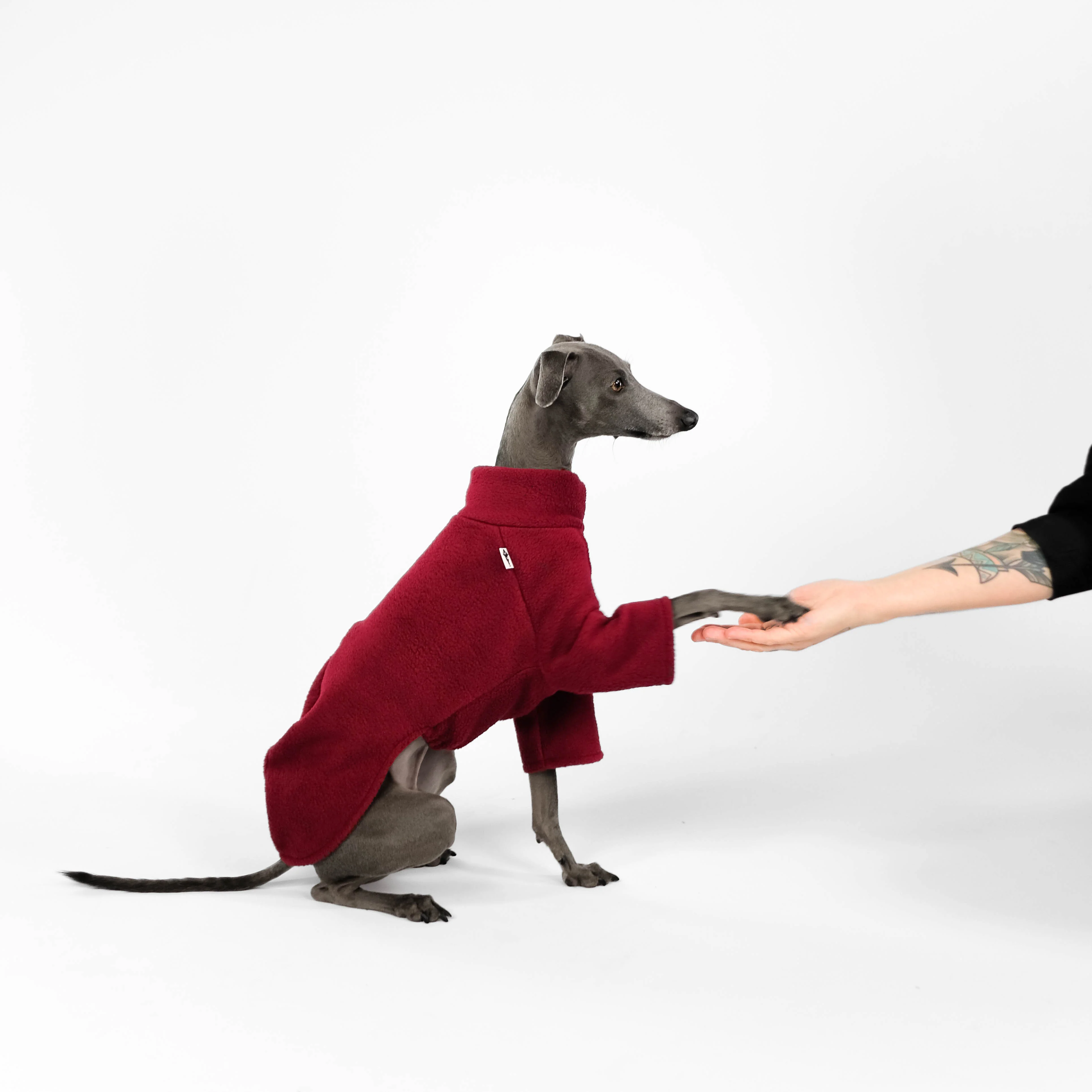 PULLOVER Iggy Bordeaux - Image 4