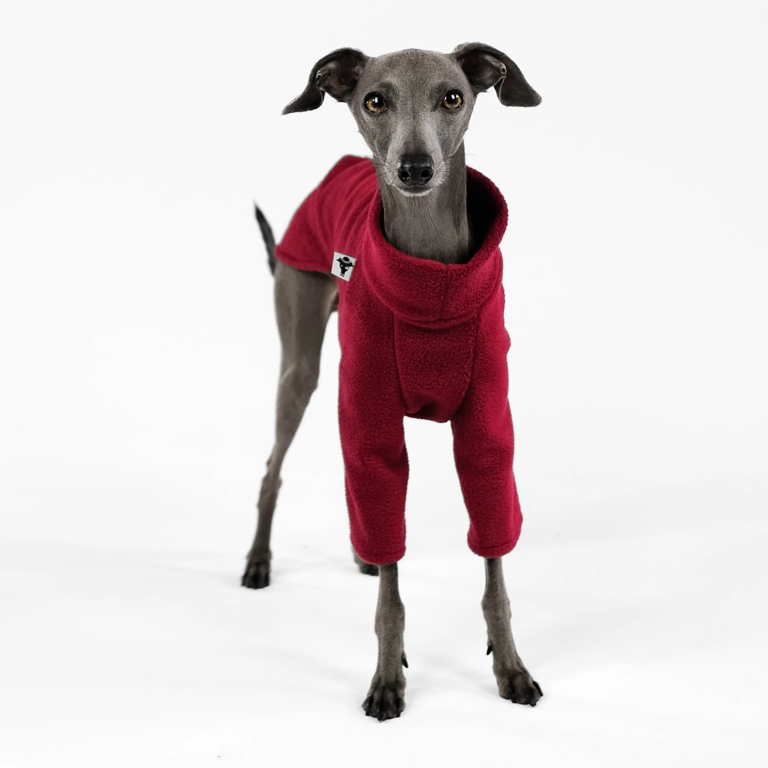 PULLOVER Iggy Bordeaux - Image 6