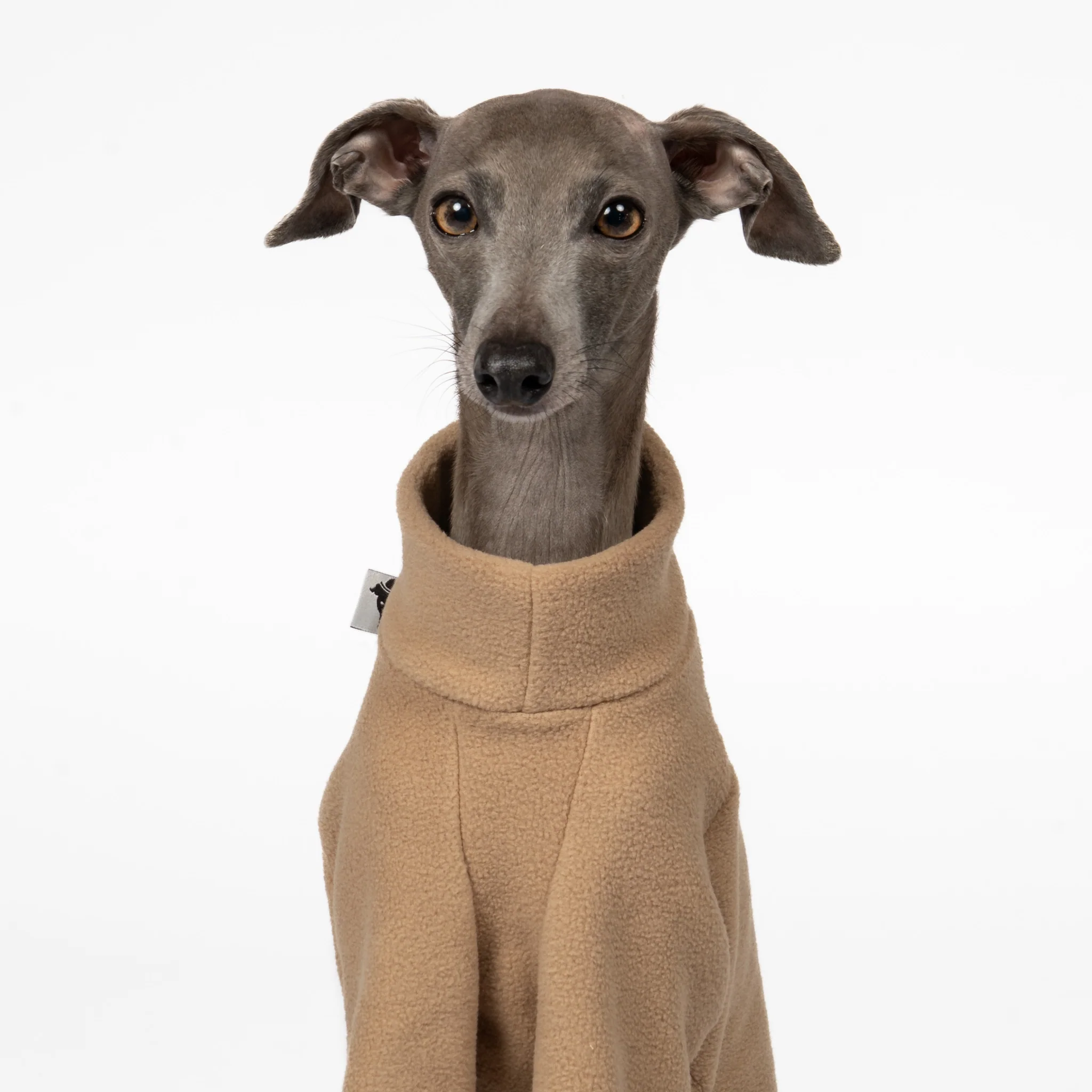 PULLOVER Iggy Camel - Image 6