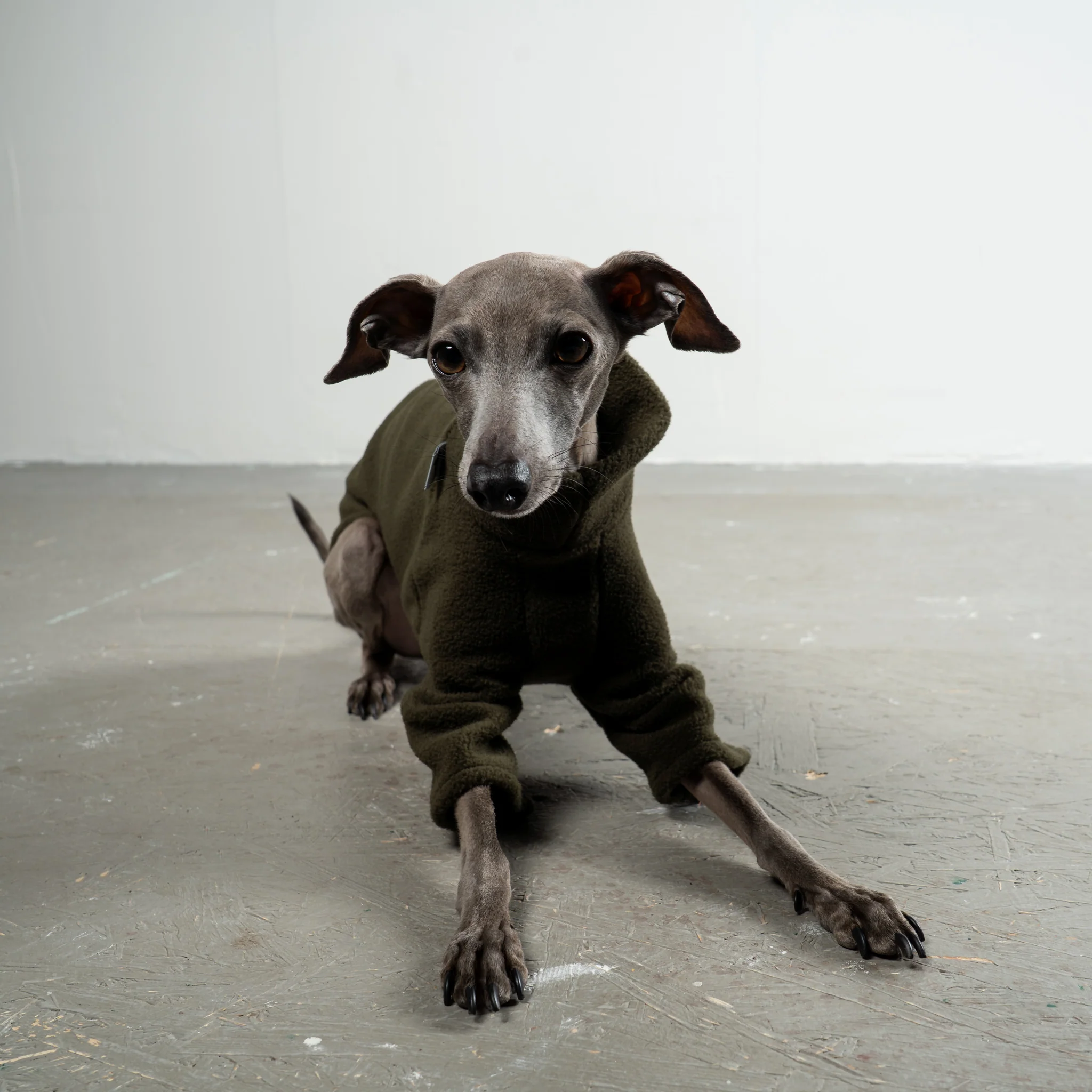 PULLOVER Iggy Dark Olive - Image 3
