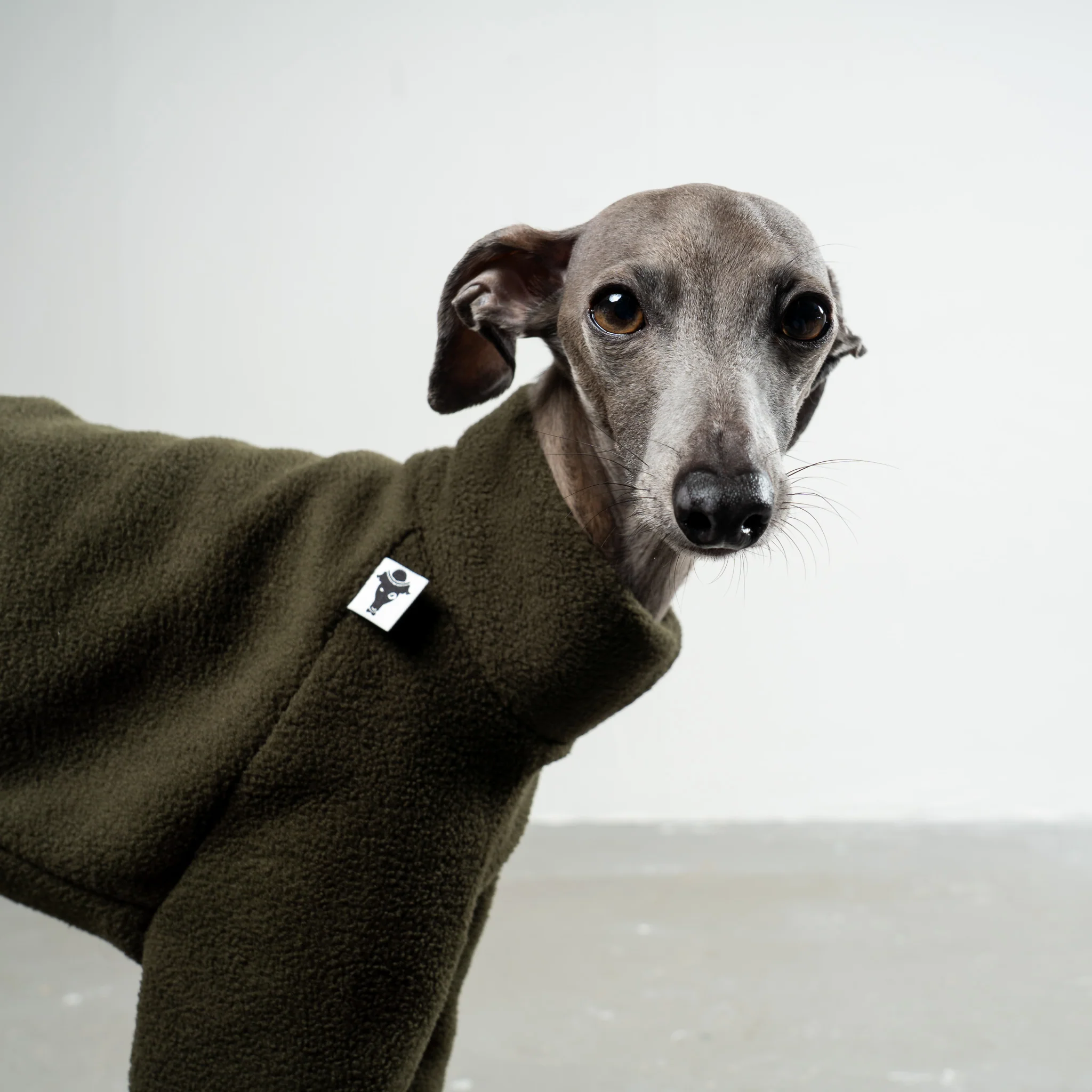 PULLOVER Iggy Dark Olive - Image 4