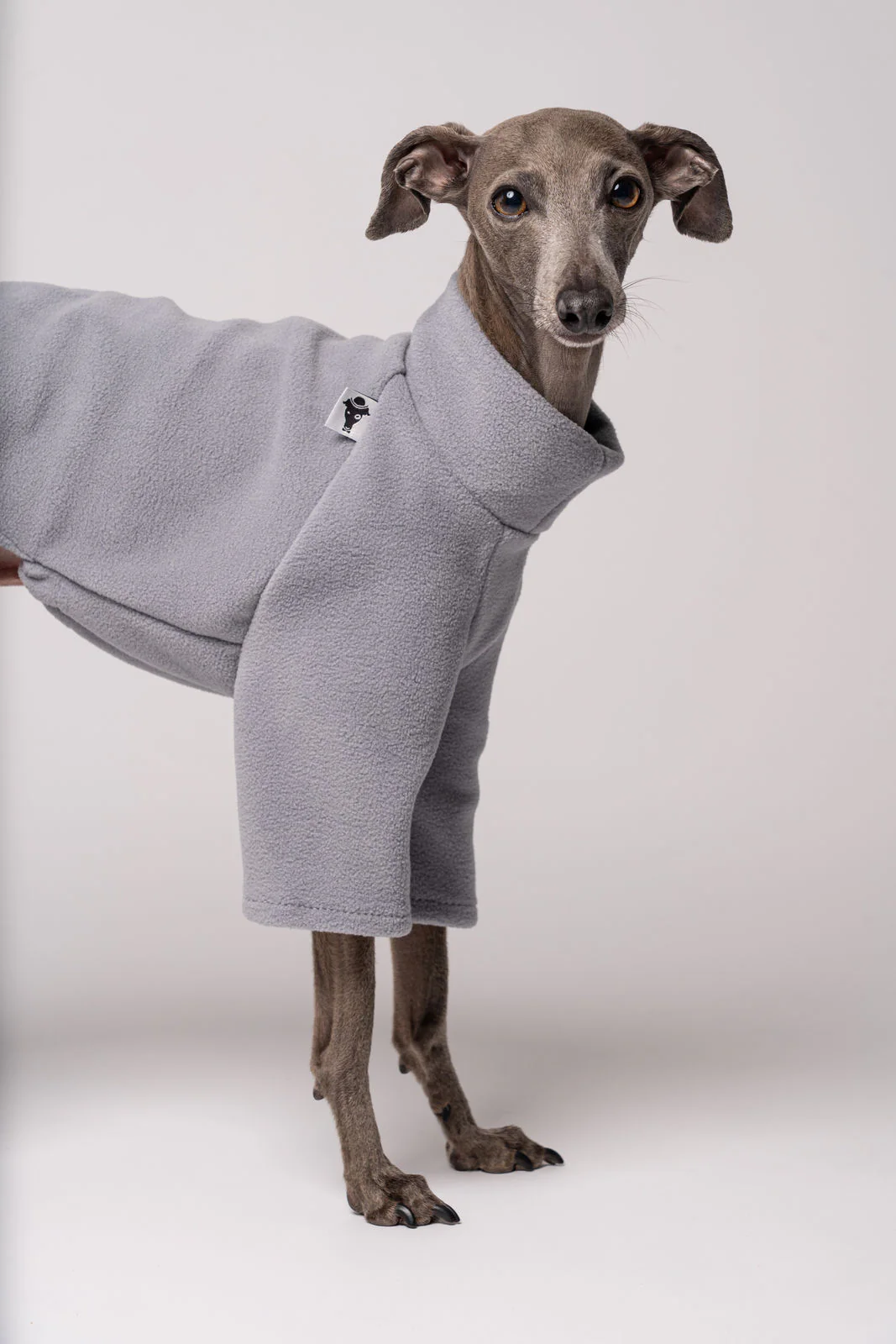 PULLOVER Iggy Light Gray - Image 4