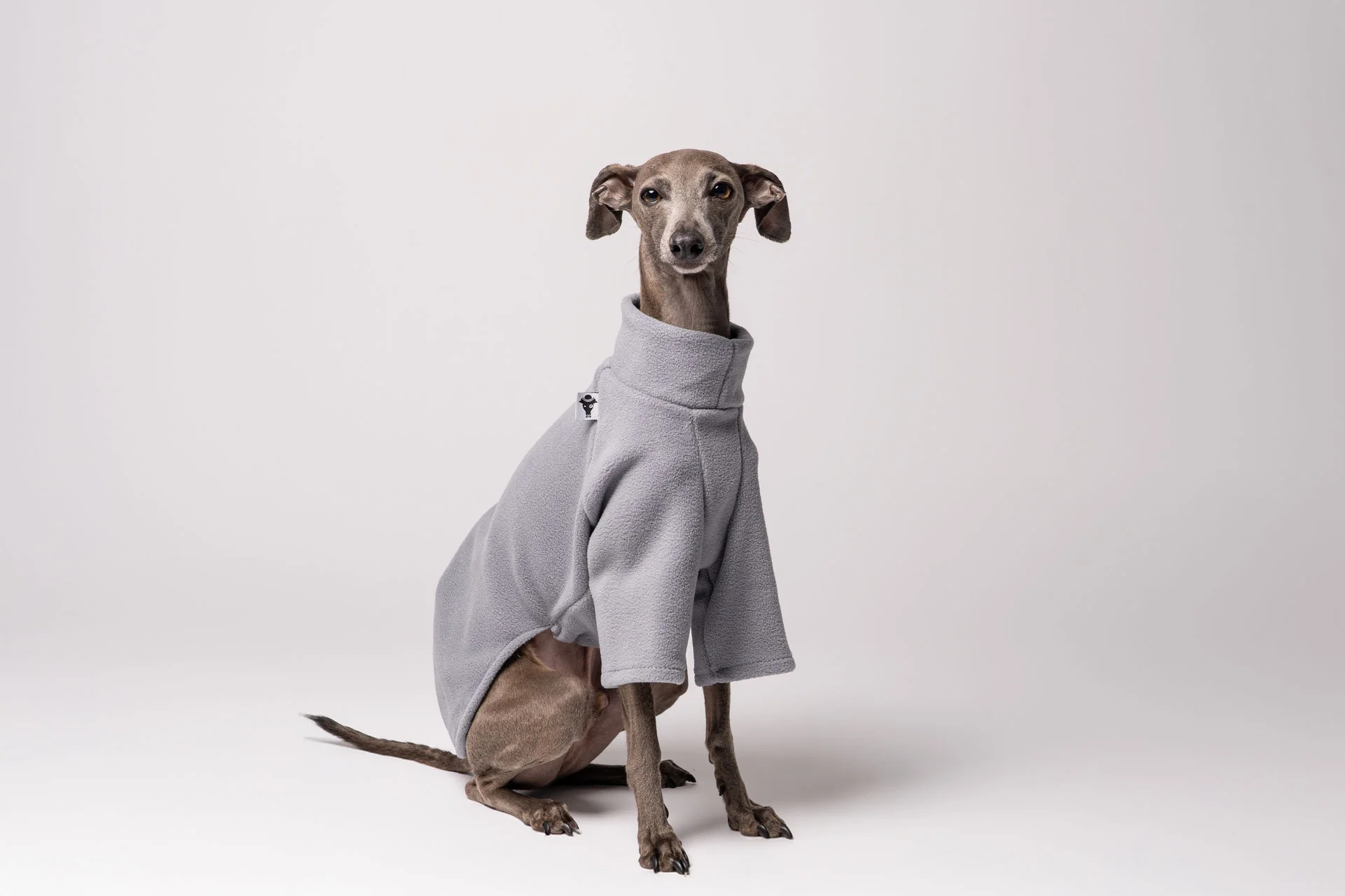 PULLOVER Iggy Light Gray - Image 6