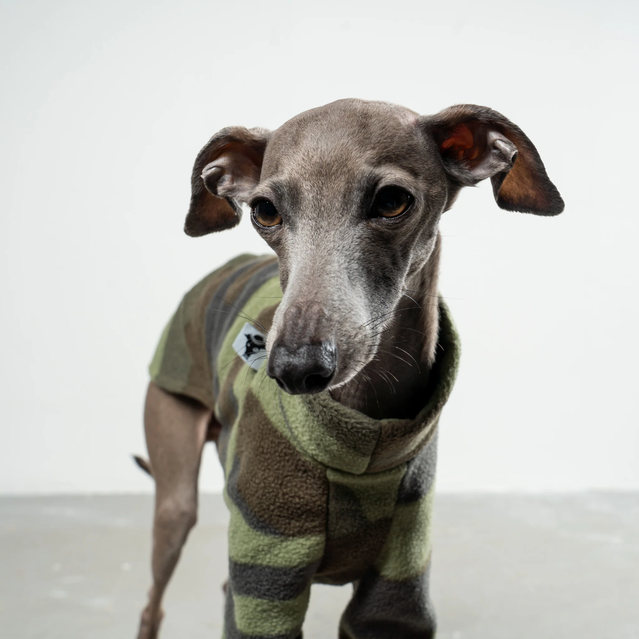 PULLOVER Iggy Camouflage - Image 4