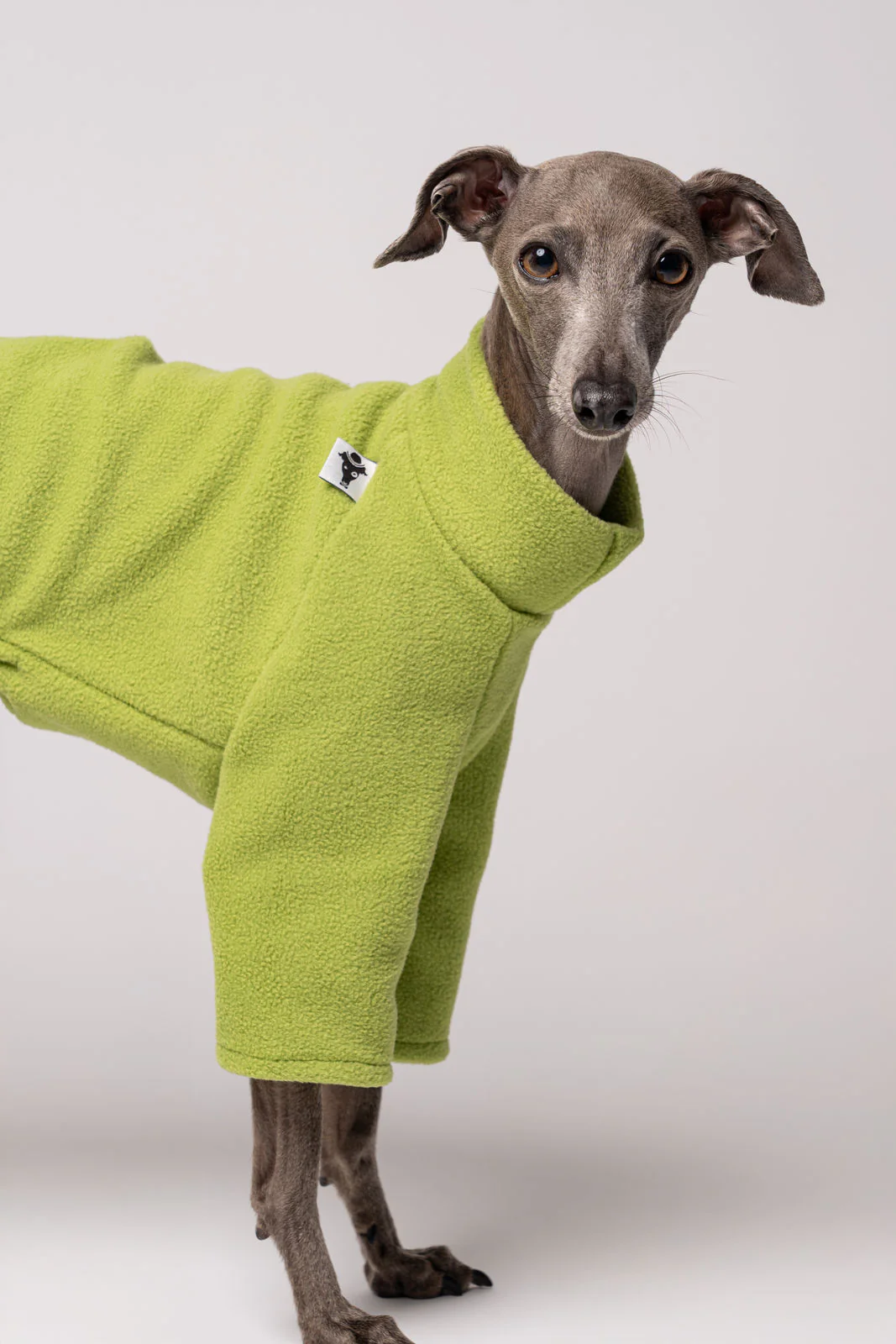 PULLOVER Iggy Light Green - Image 4