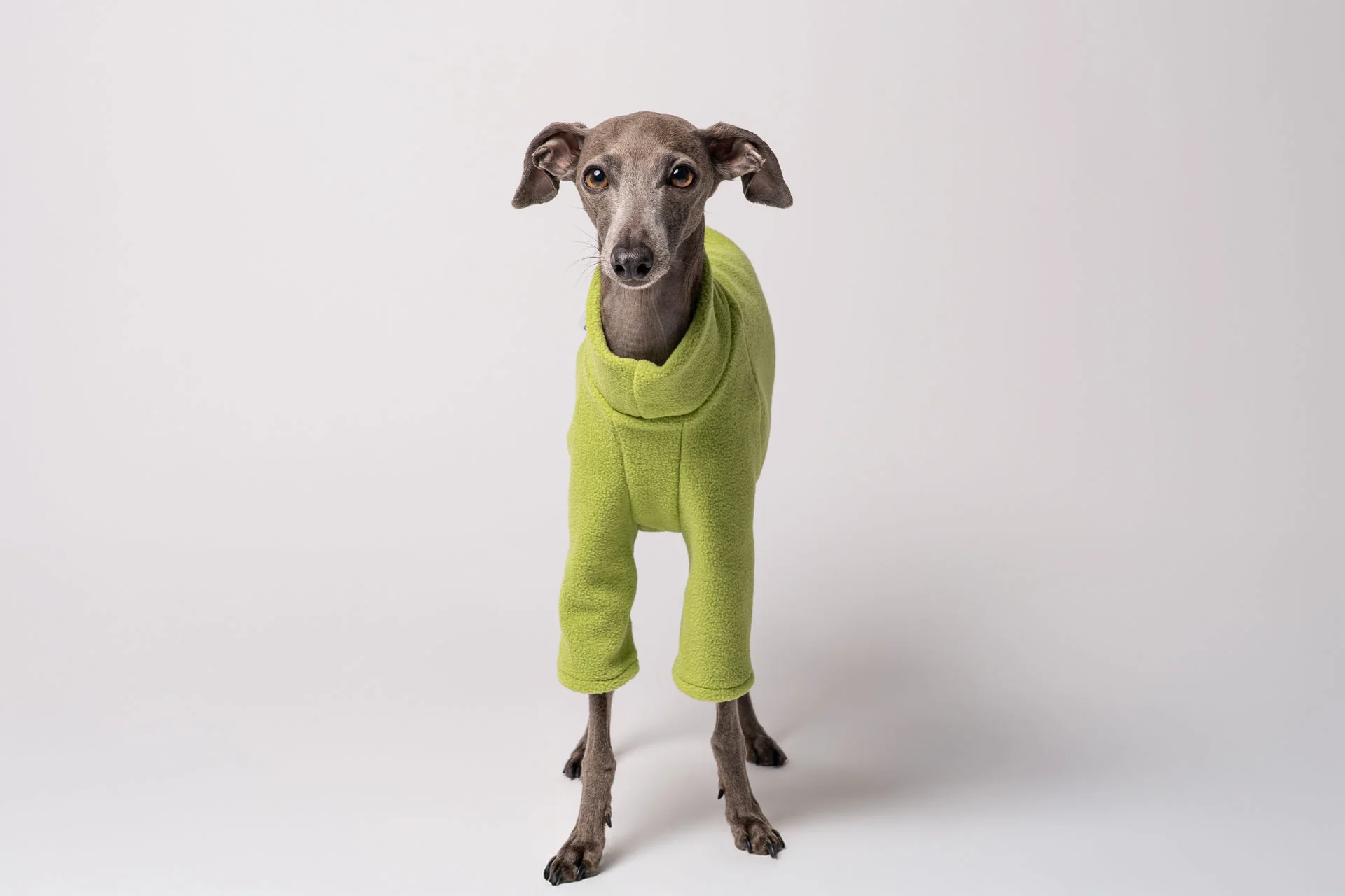 PULLOVER Iggy Light Green - Image 5