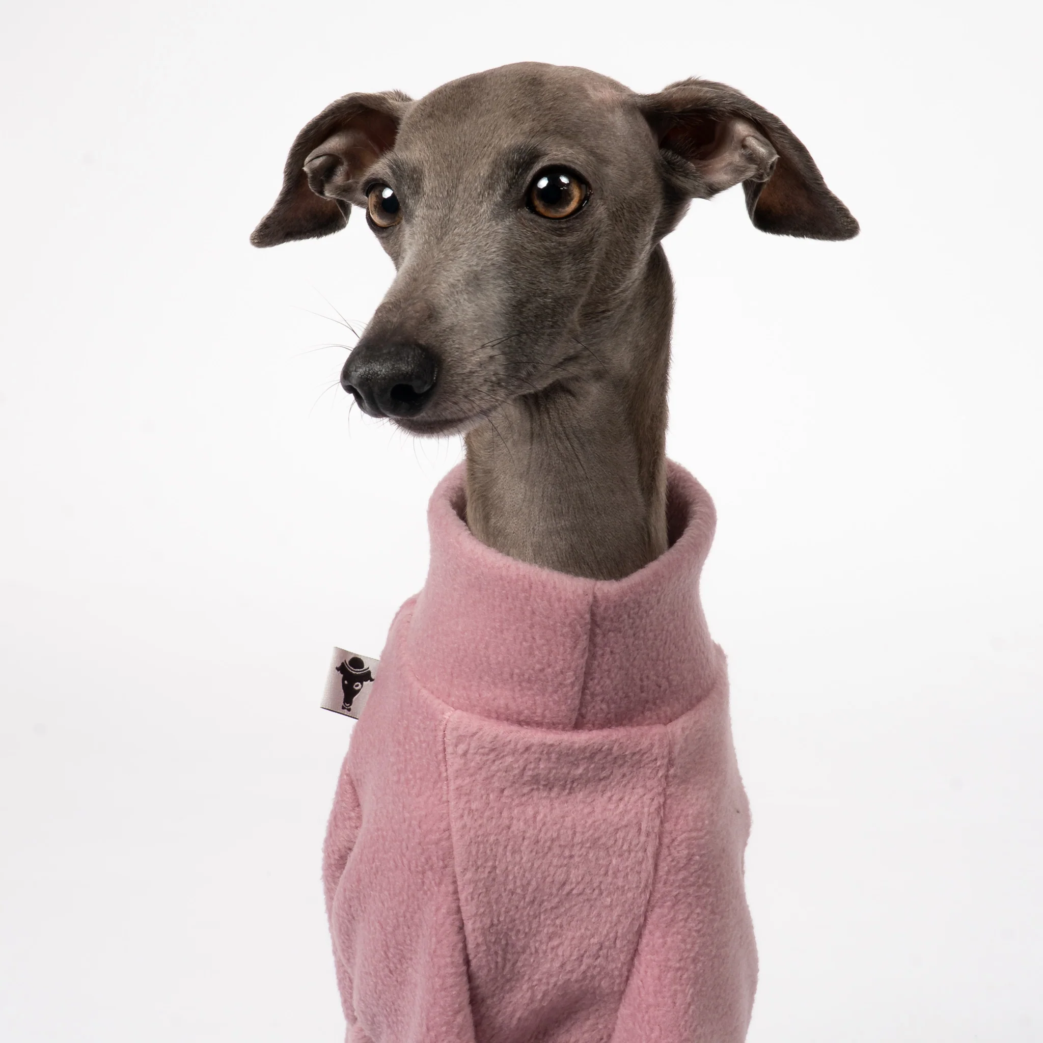 PULLOVER Iggy Mulberry - Image 4