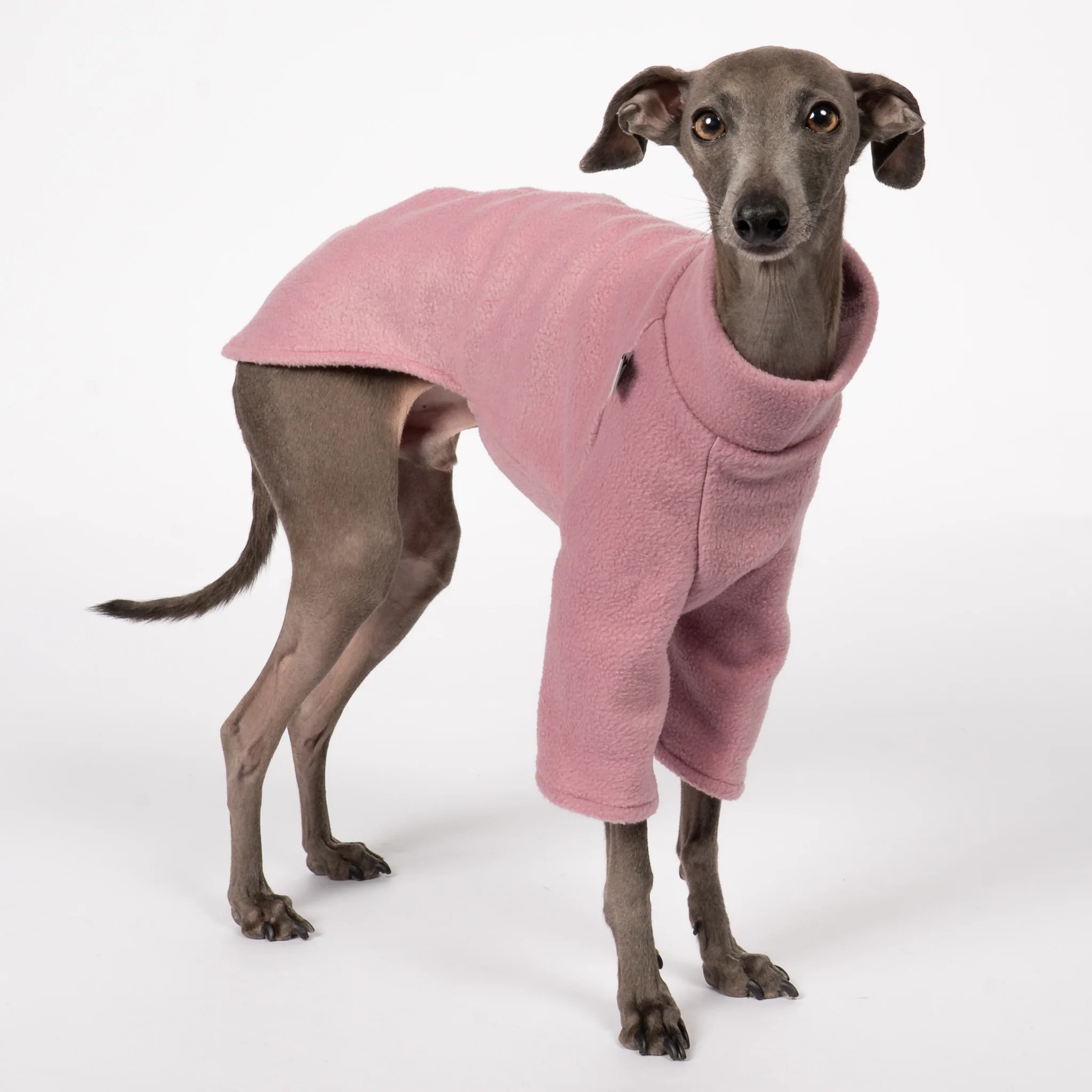 PULLOVER Iggy Mulberry - Image 5
