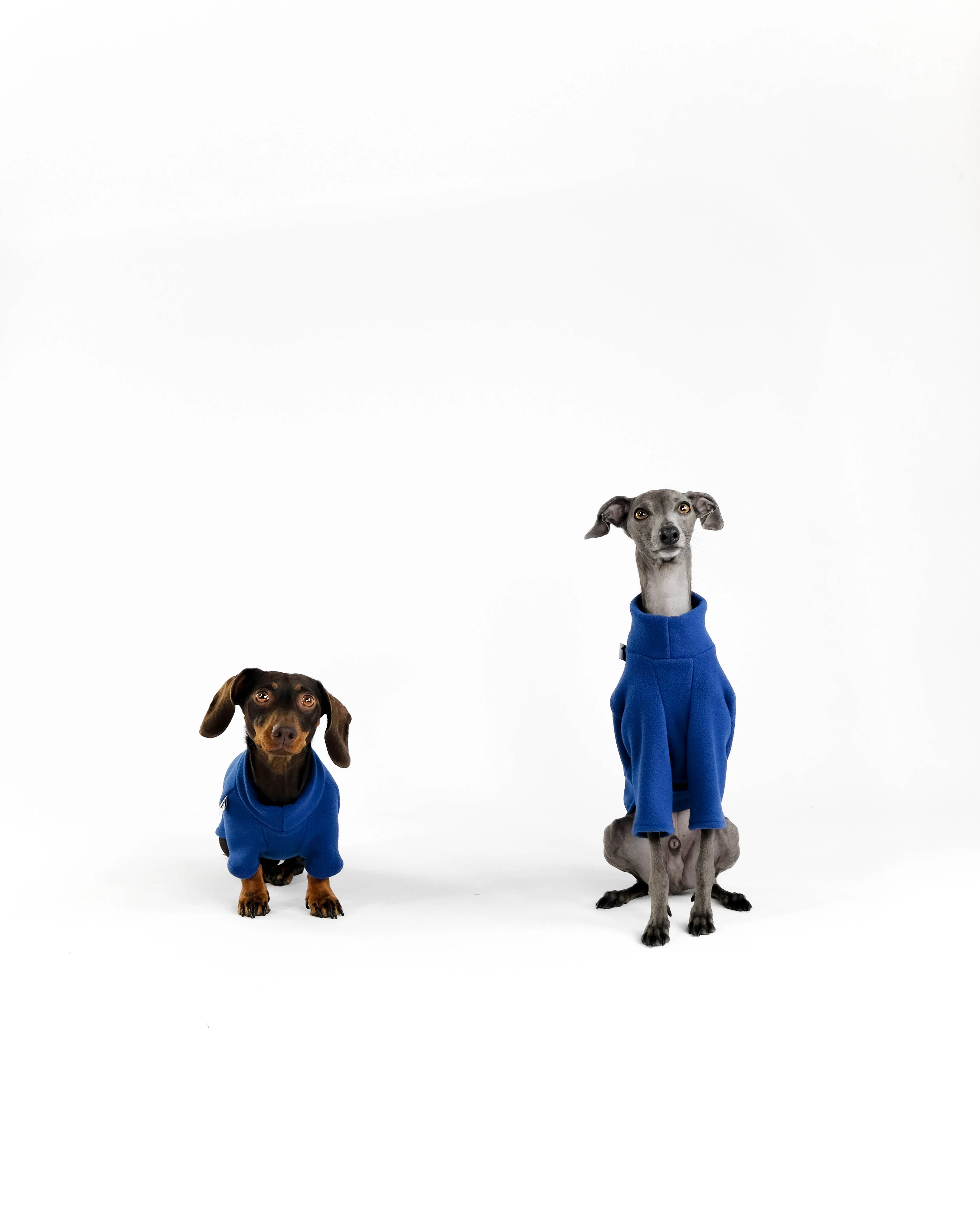 PULLOVER Iggy Navy - Image 5